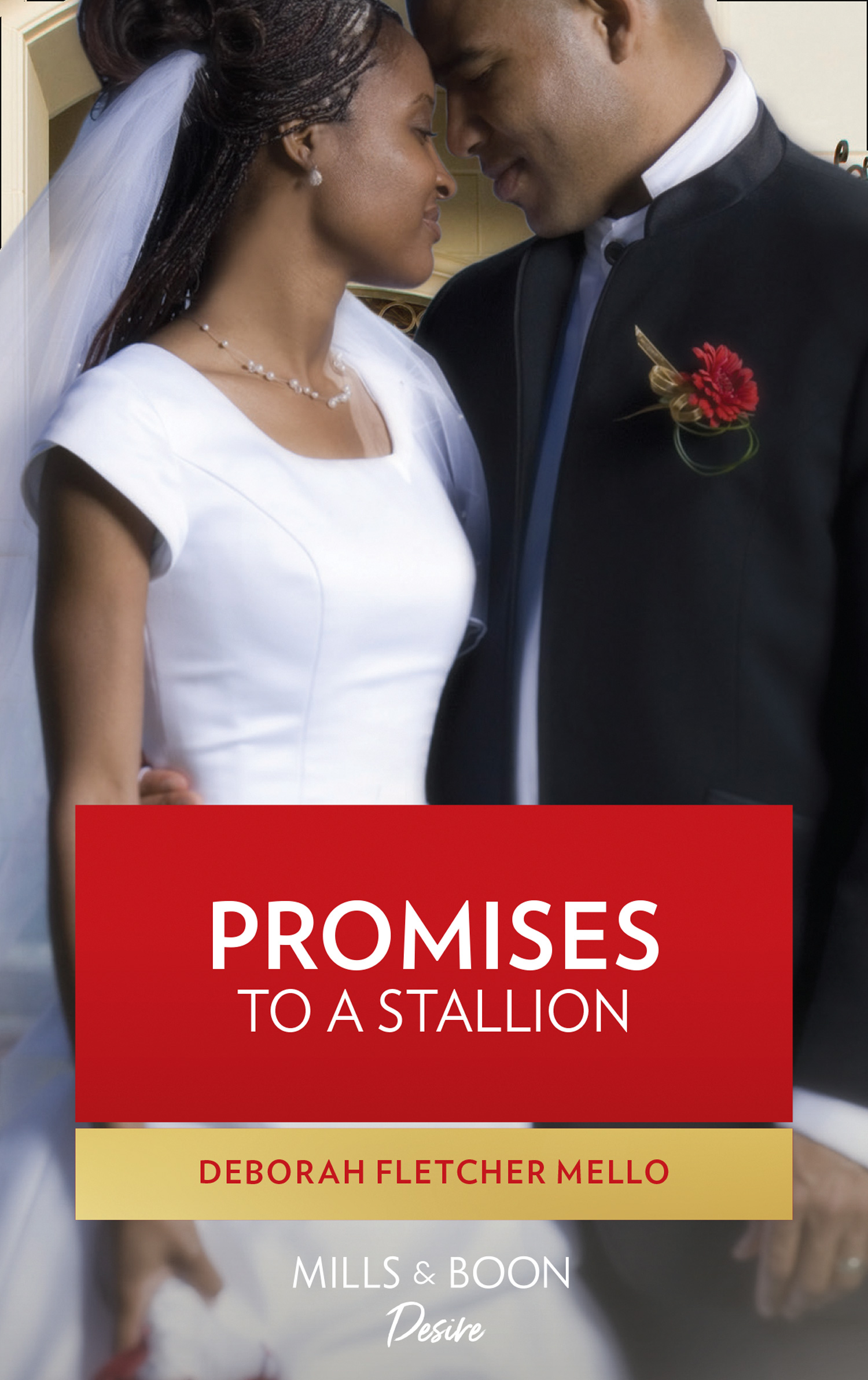 Обложка книги «Promises to a Stallion»