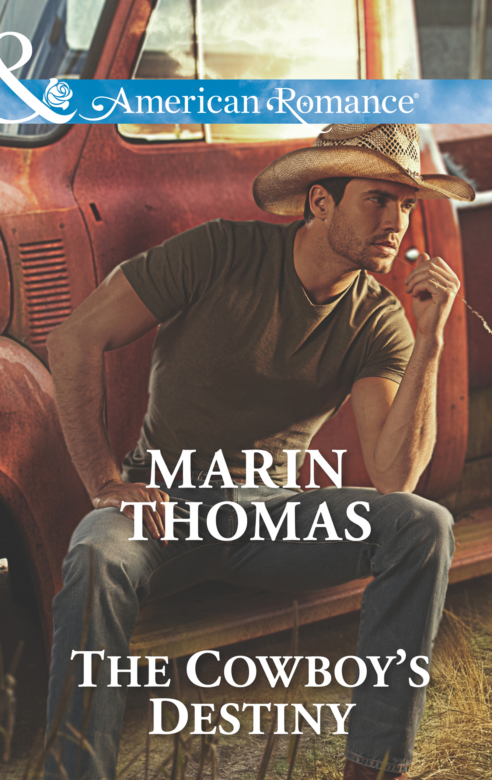 Обложка книги «The Cowboy's Destiny»