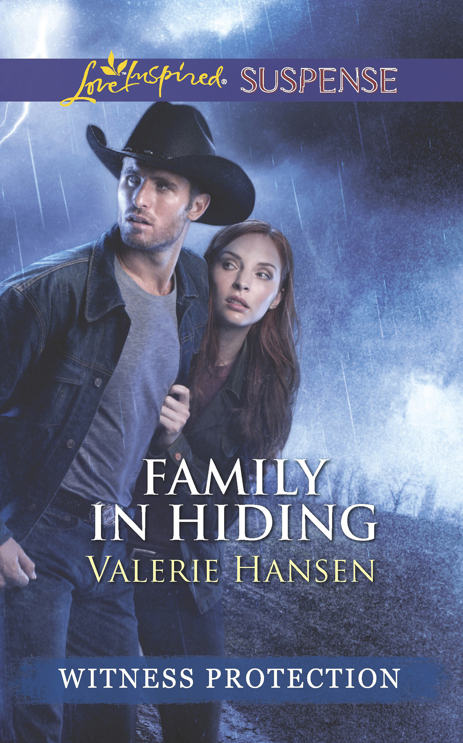 Обложка книги «Family In Hiding»