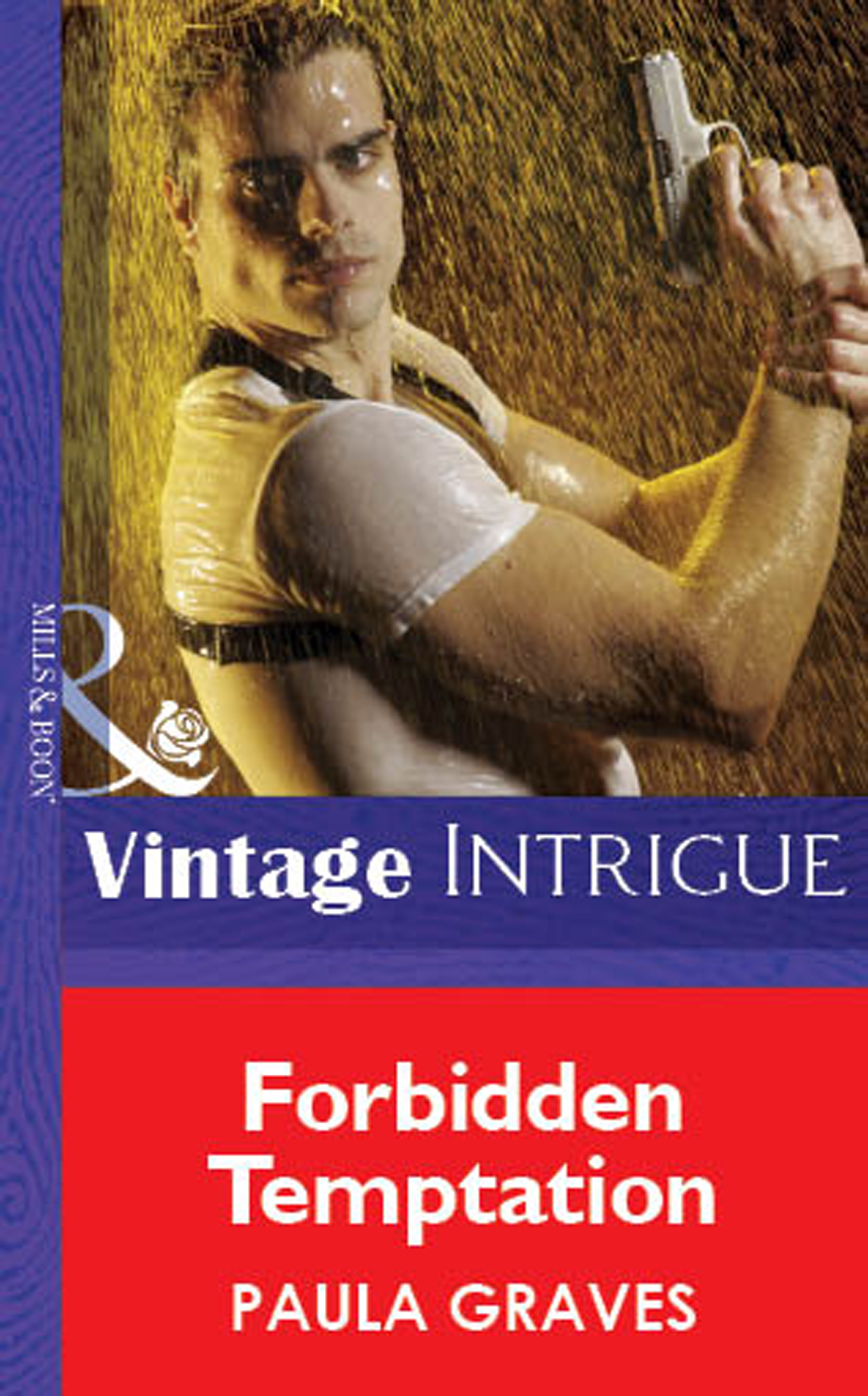 Обложка книги «Forbidden Temptation»