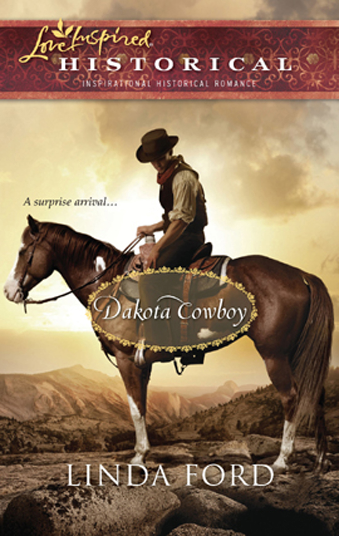 Обложка книги «Dakota Cowboy»