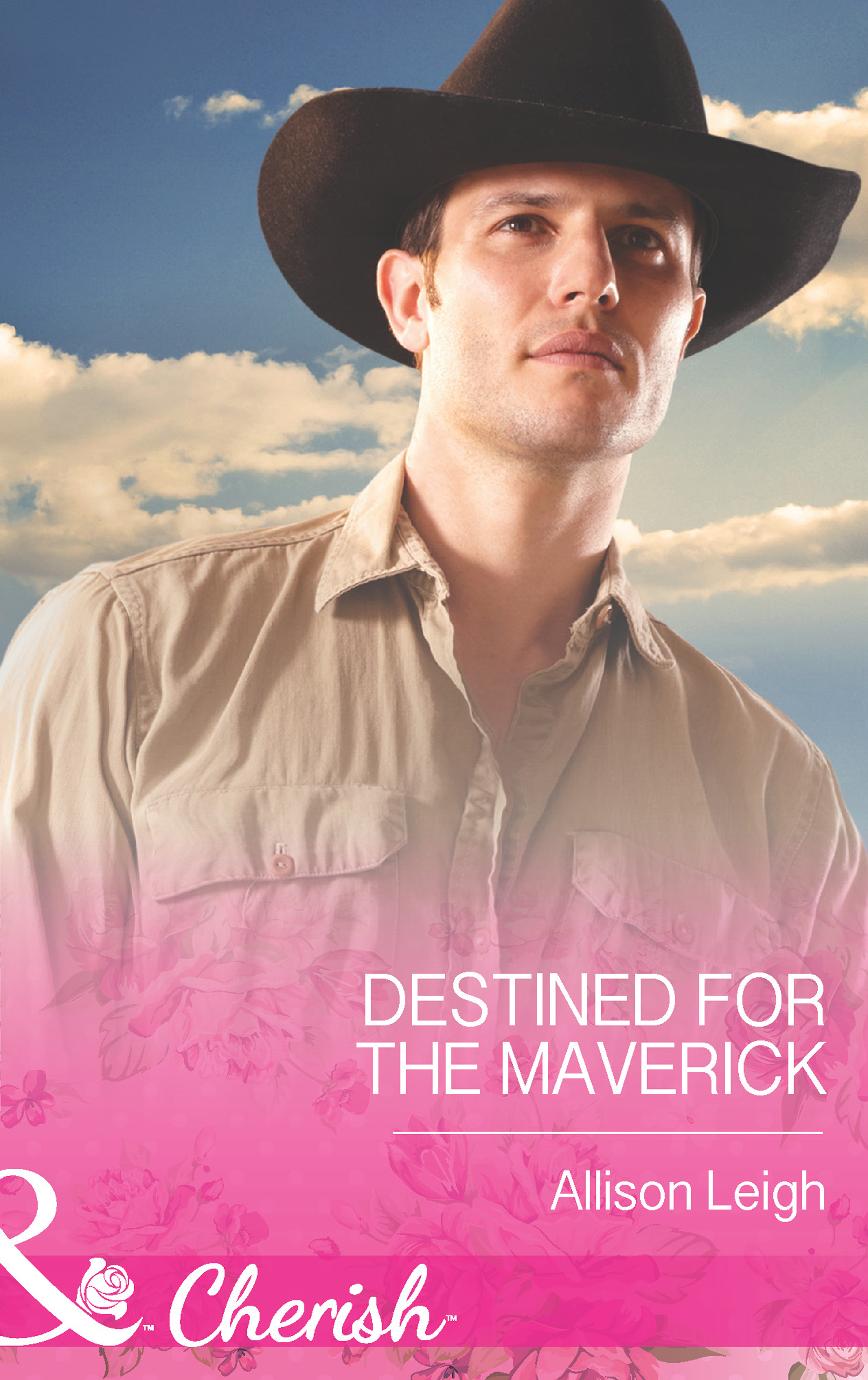 Обложка книги «Destined for the Maverick»