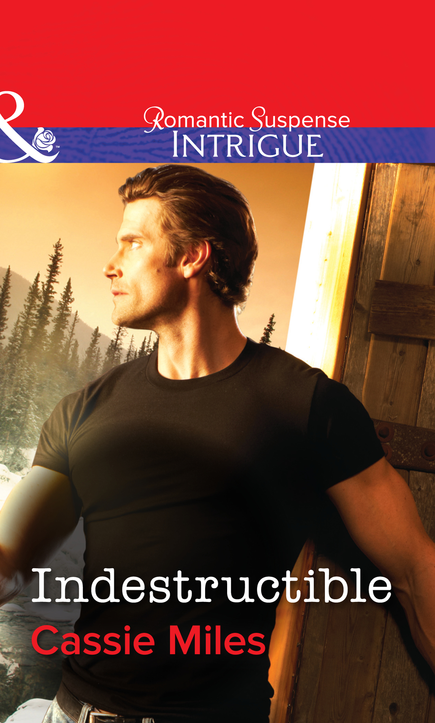 Обложка книги «Indestructible»