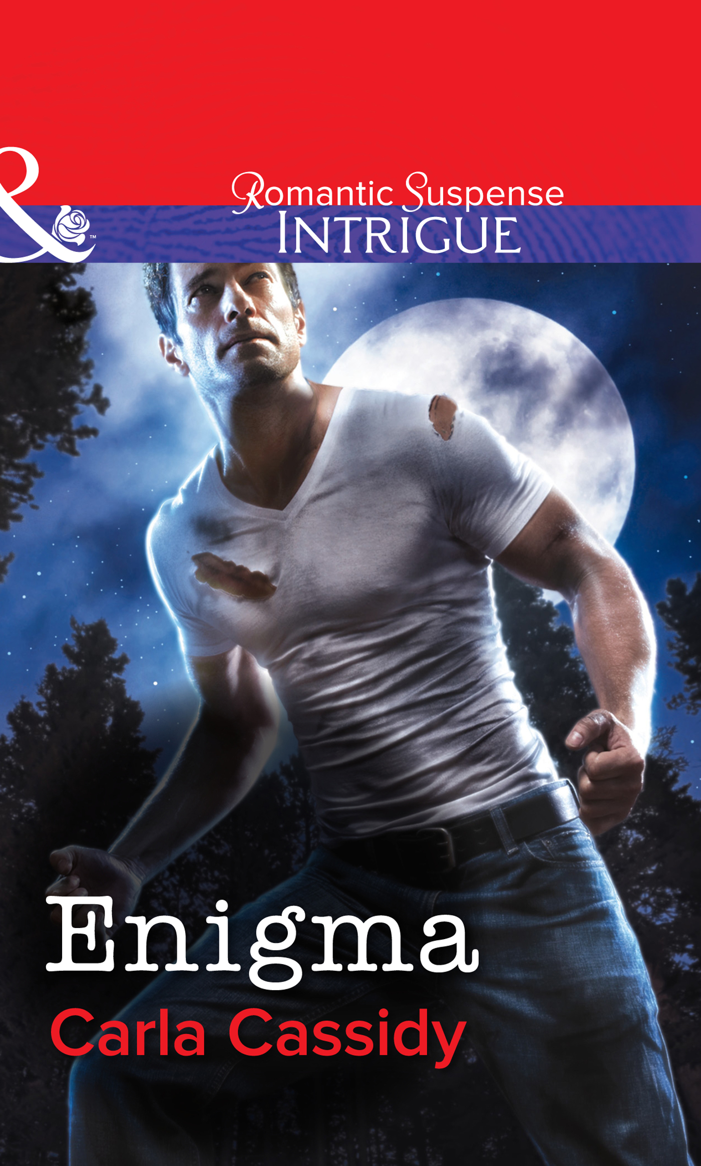 Обложка книги «Enigma»