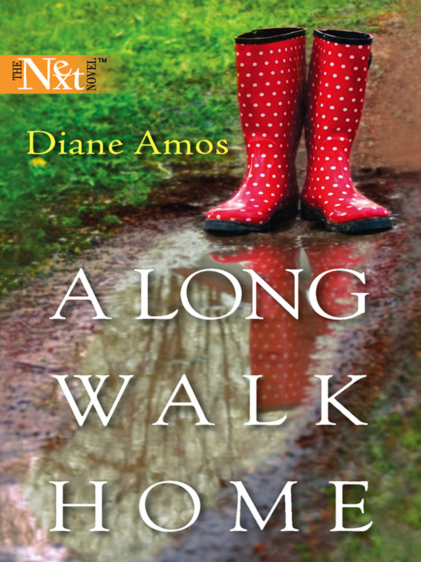 Обложка книги «A Long Walk Home»