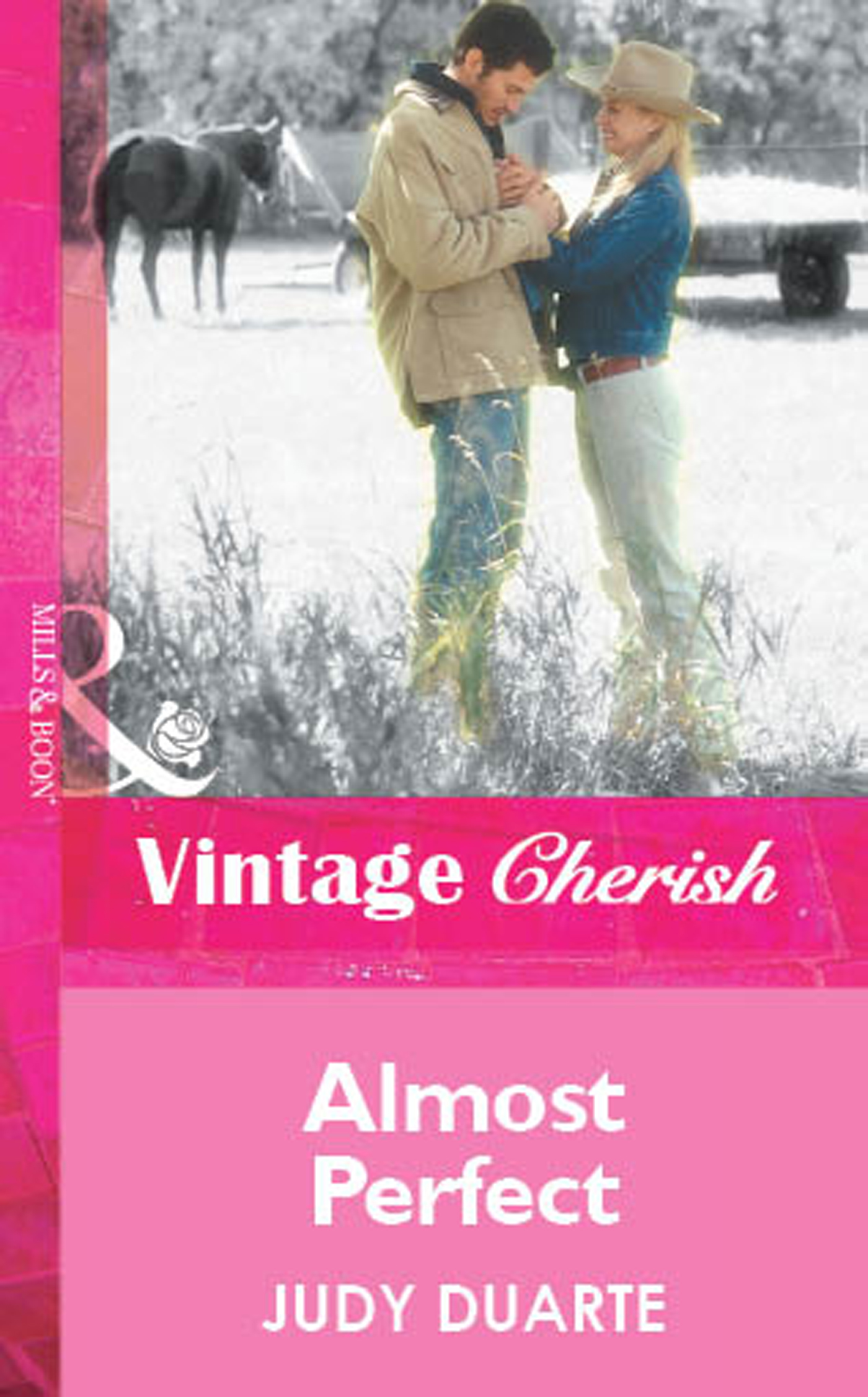 Обложка книги «Almost Perfect»