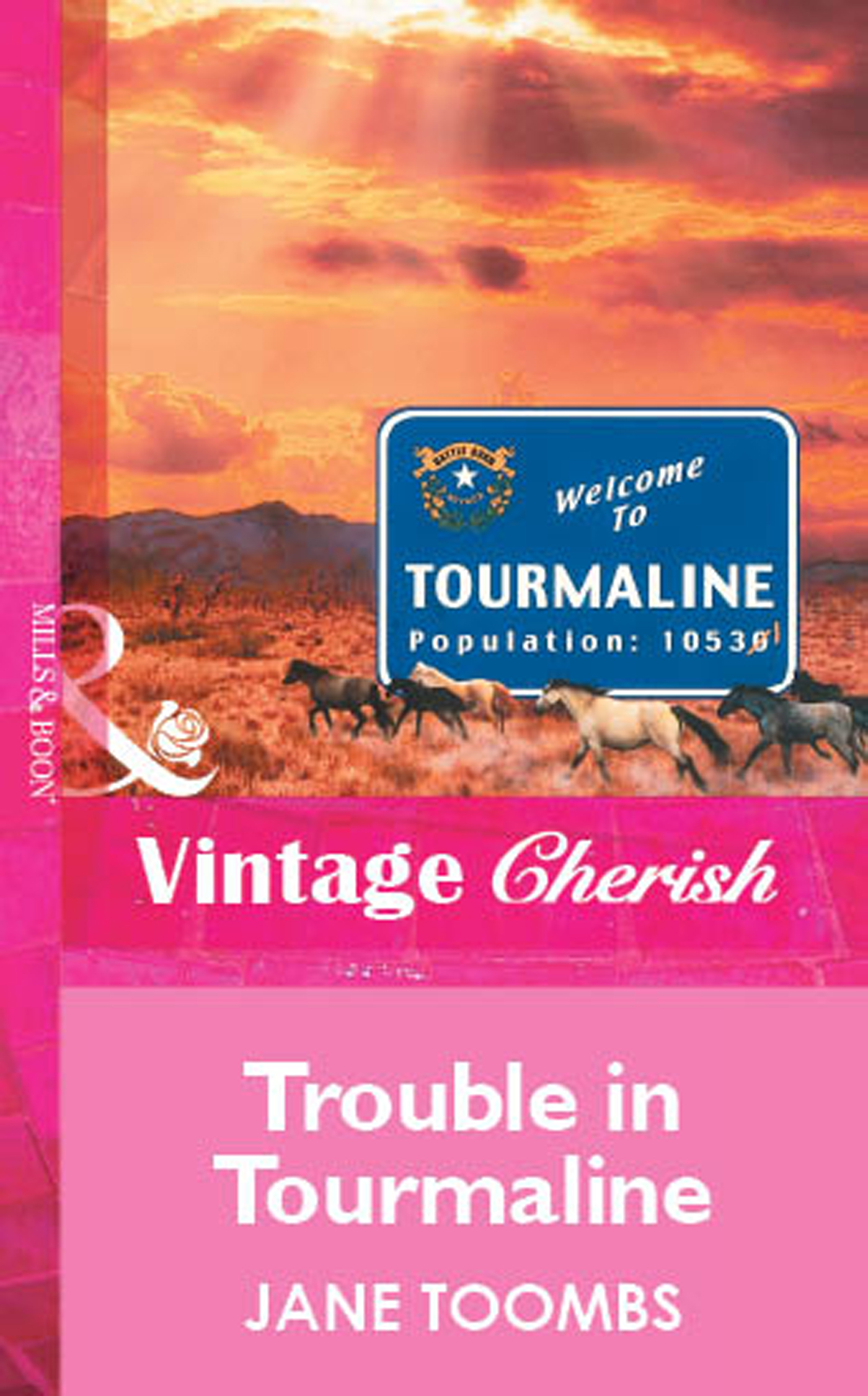 Обложка книги «Trouble In Tourmaline»