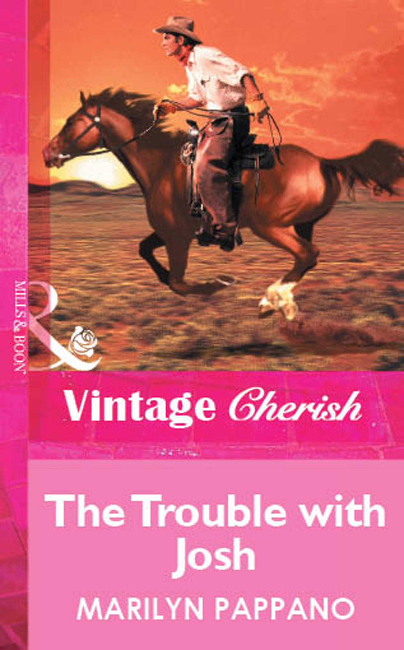 Обложка книги «The Trouble with Josh»