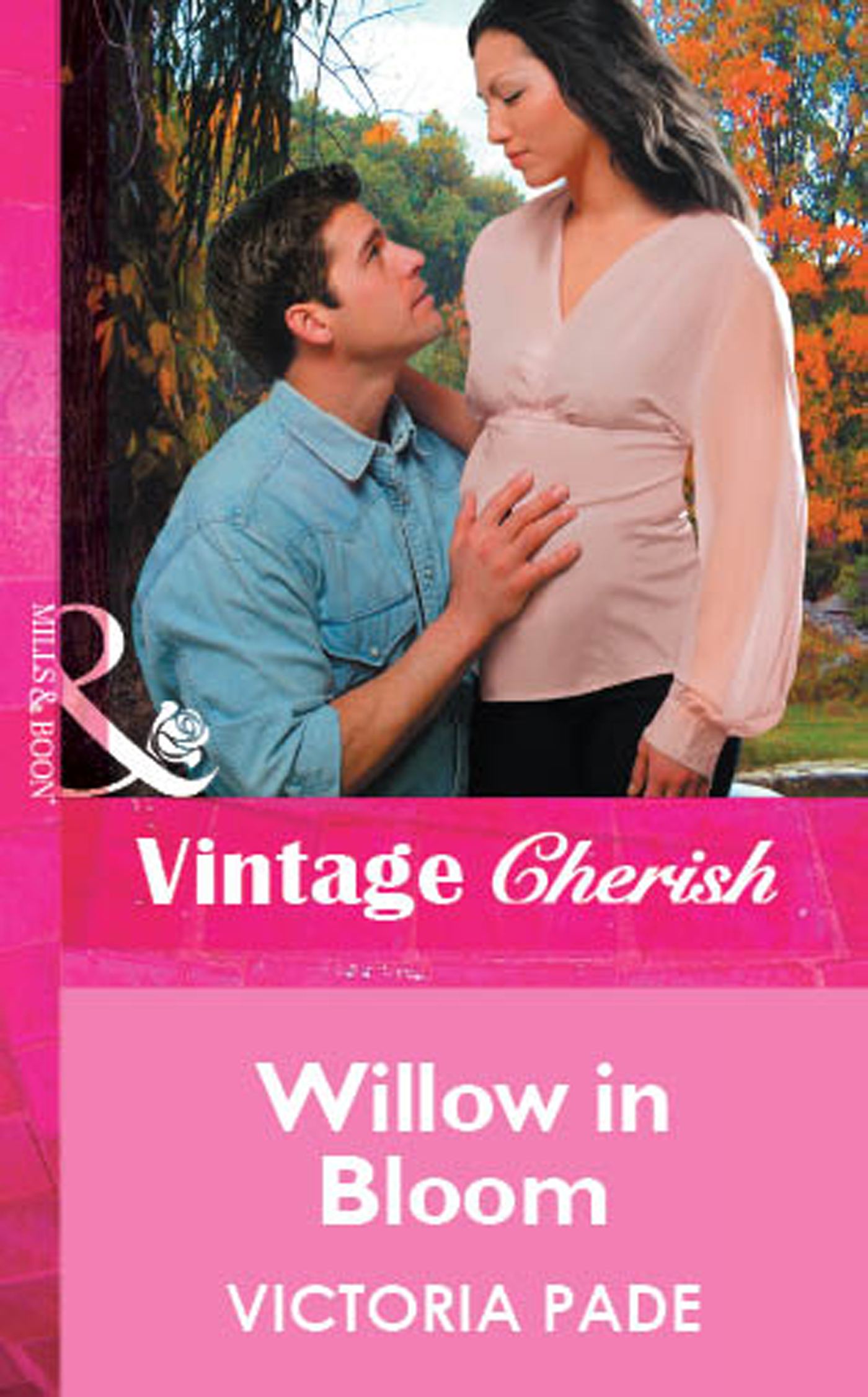 Обложка книги «Willow in Bloom»