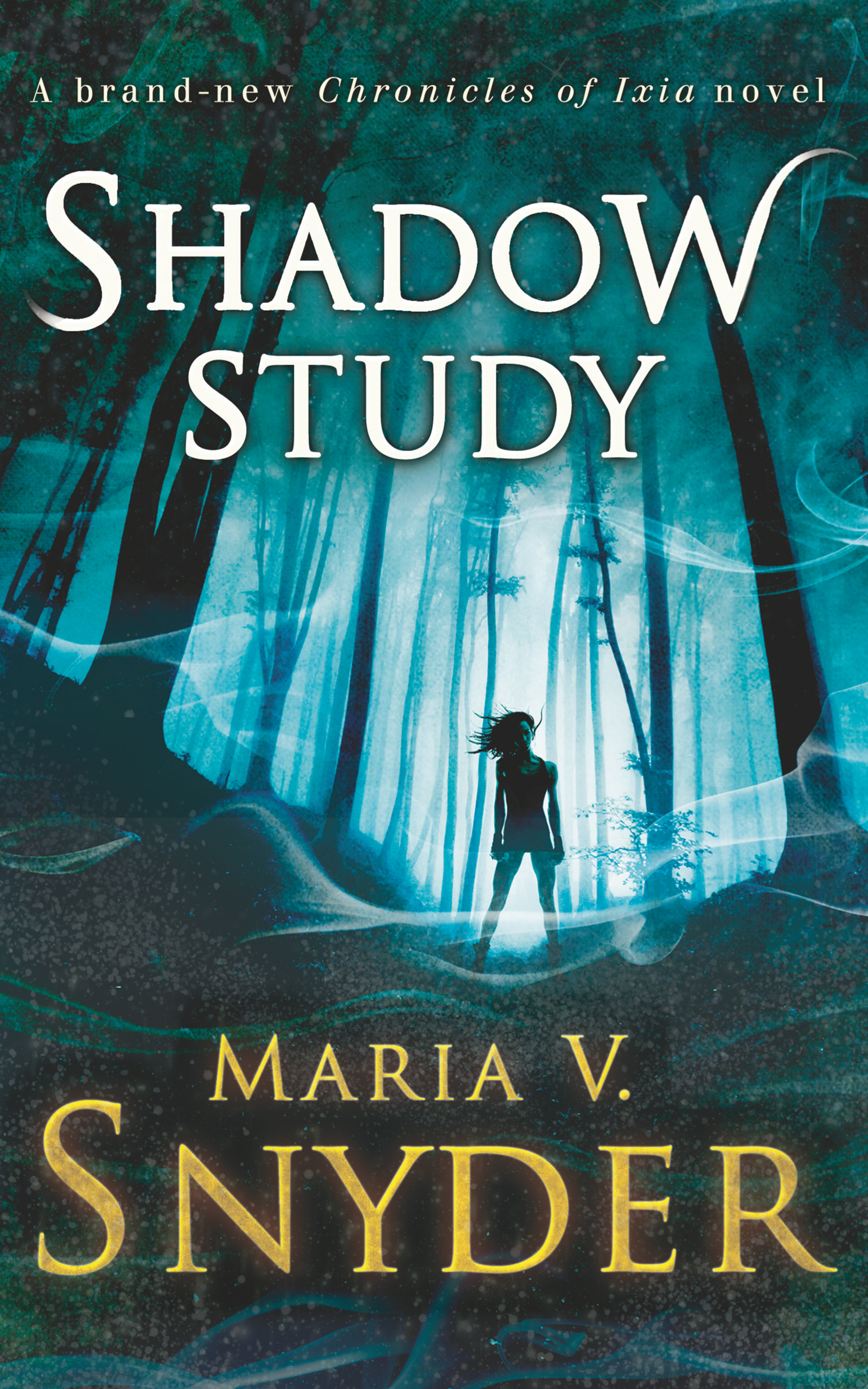 Обложка книги «Shadow Study»