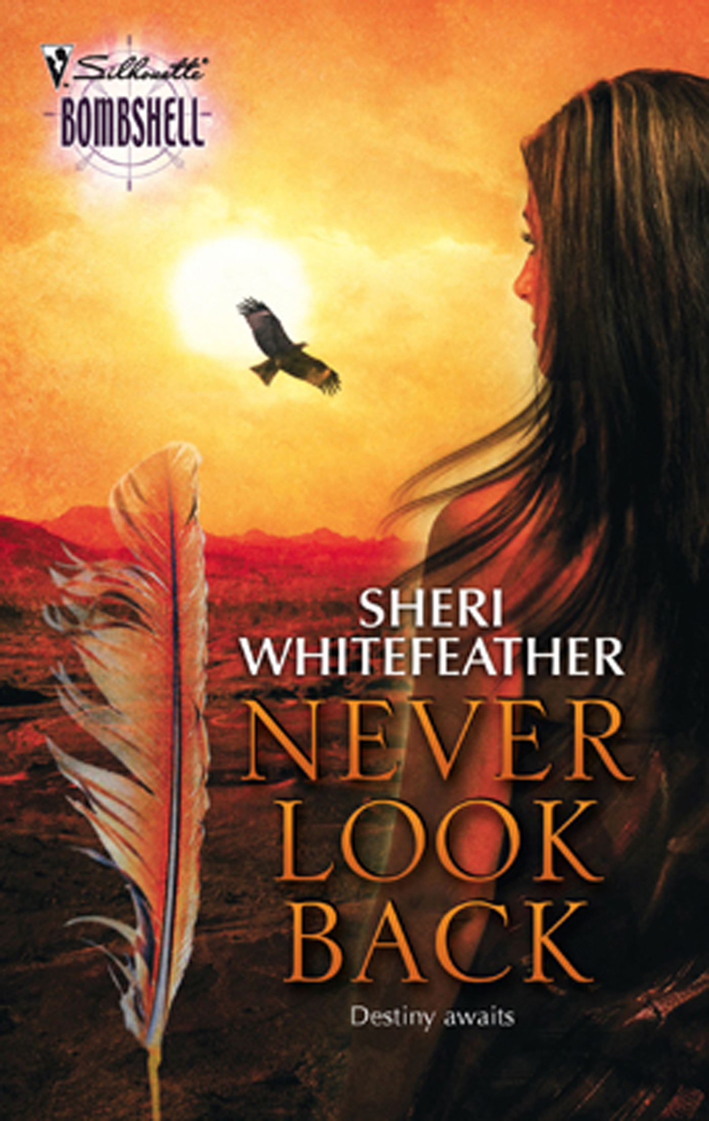 Обложка книги «Never Look Back»