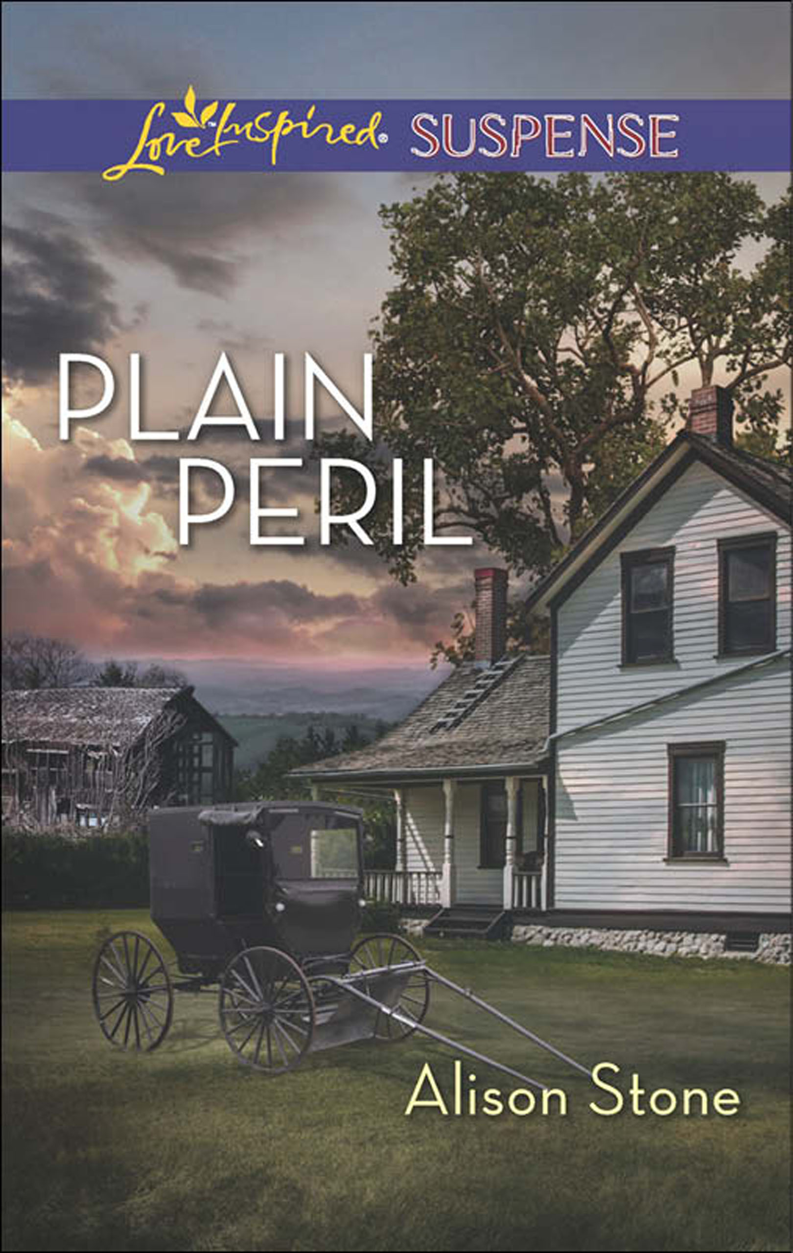 Обложка книги «Plain Peril»