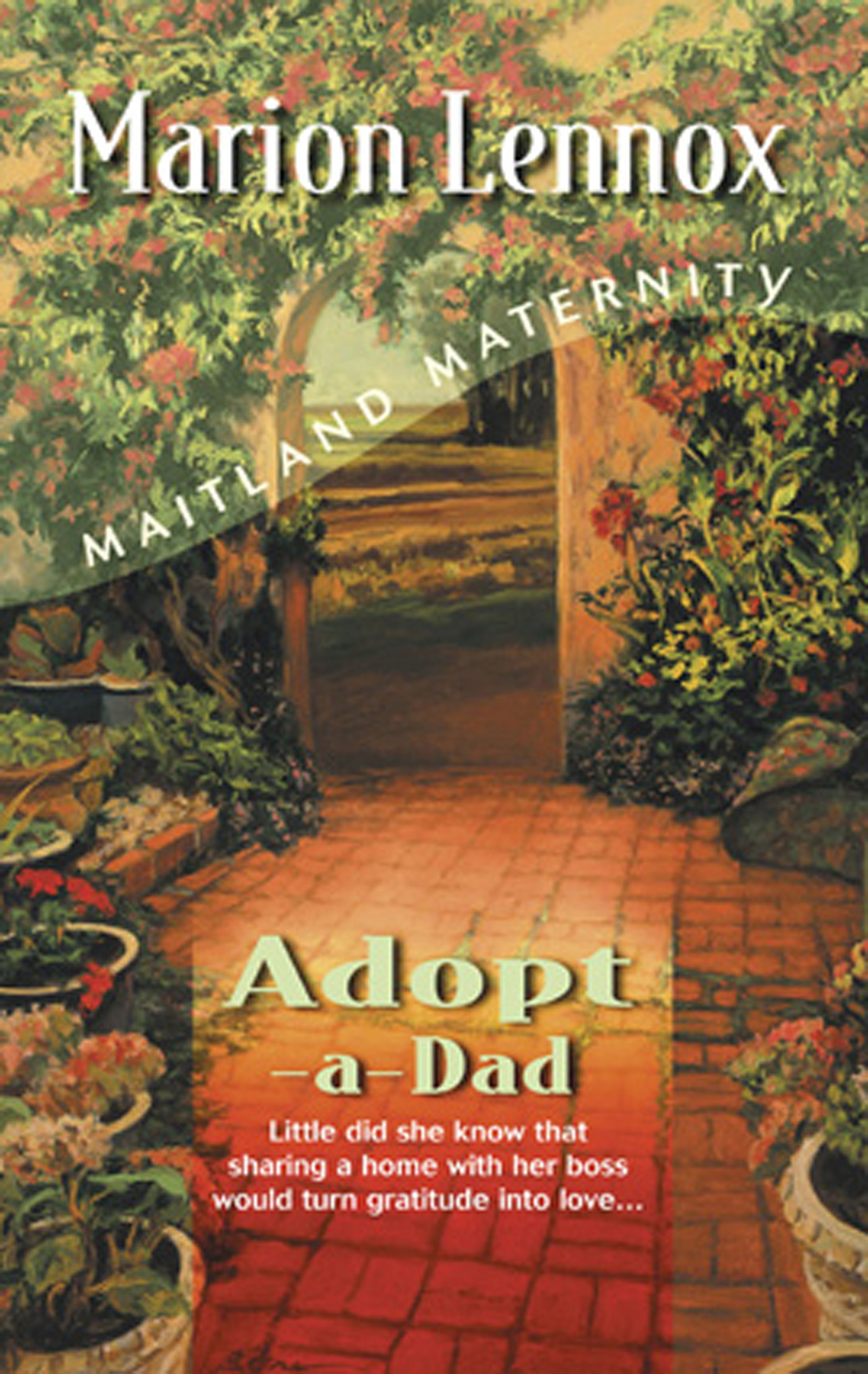 Обложка книги «Adopt-A-Dad»