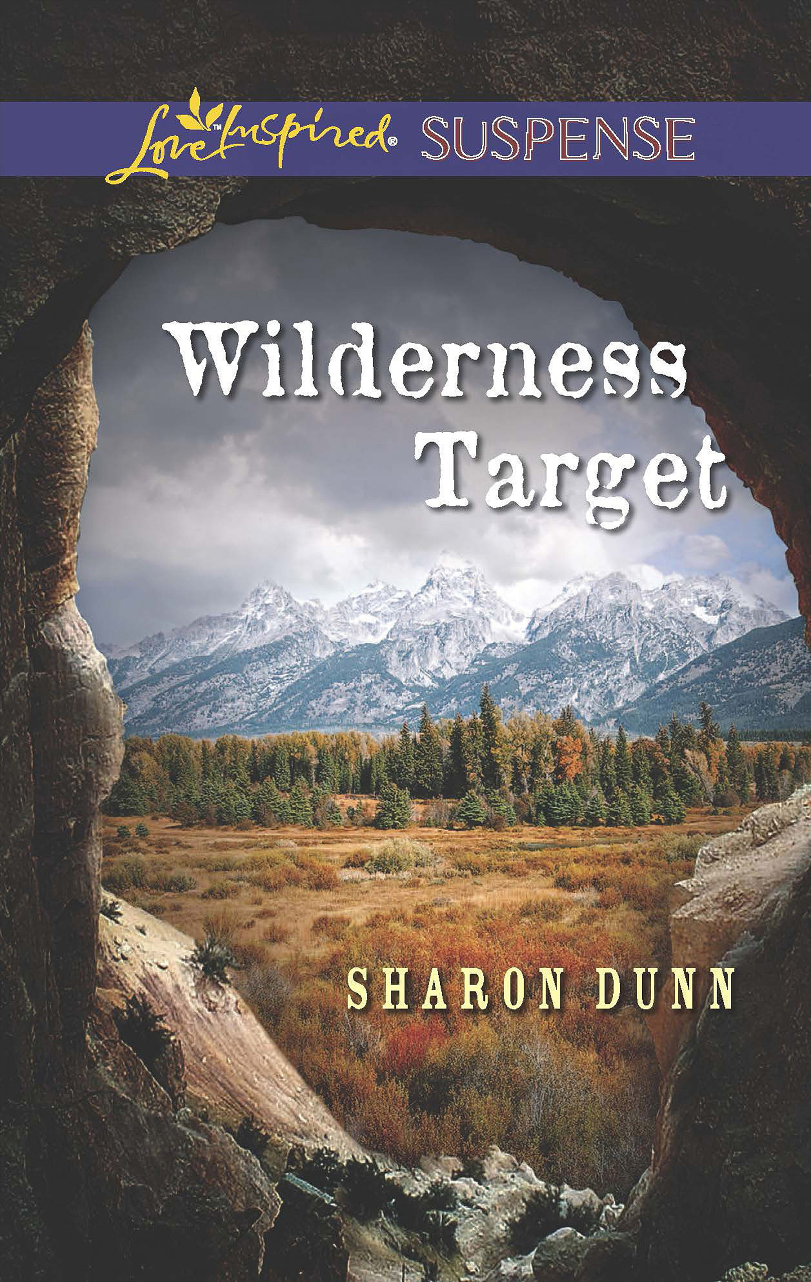 Обложка книги «Wilderness Target»