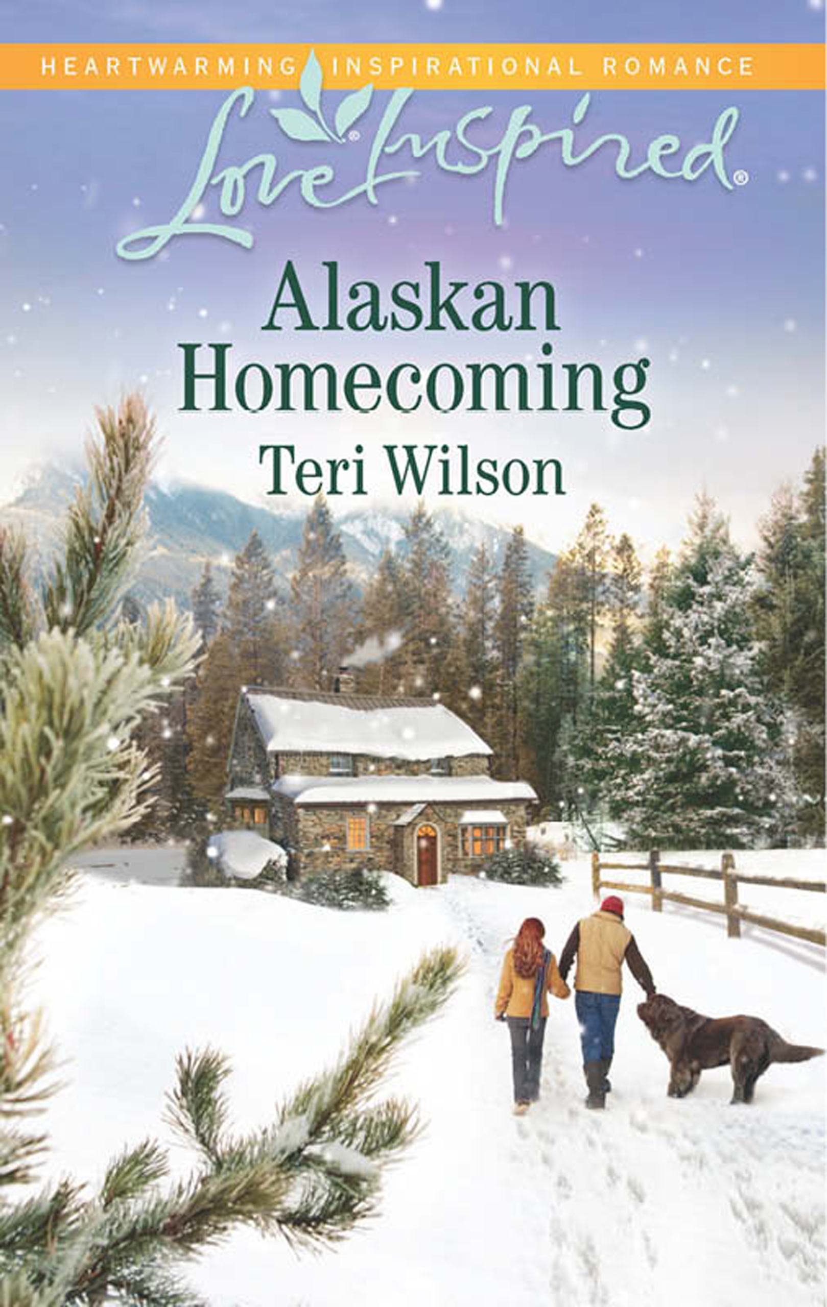 Обложка книги «Alaskan Homecoming»