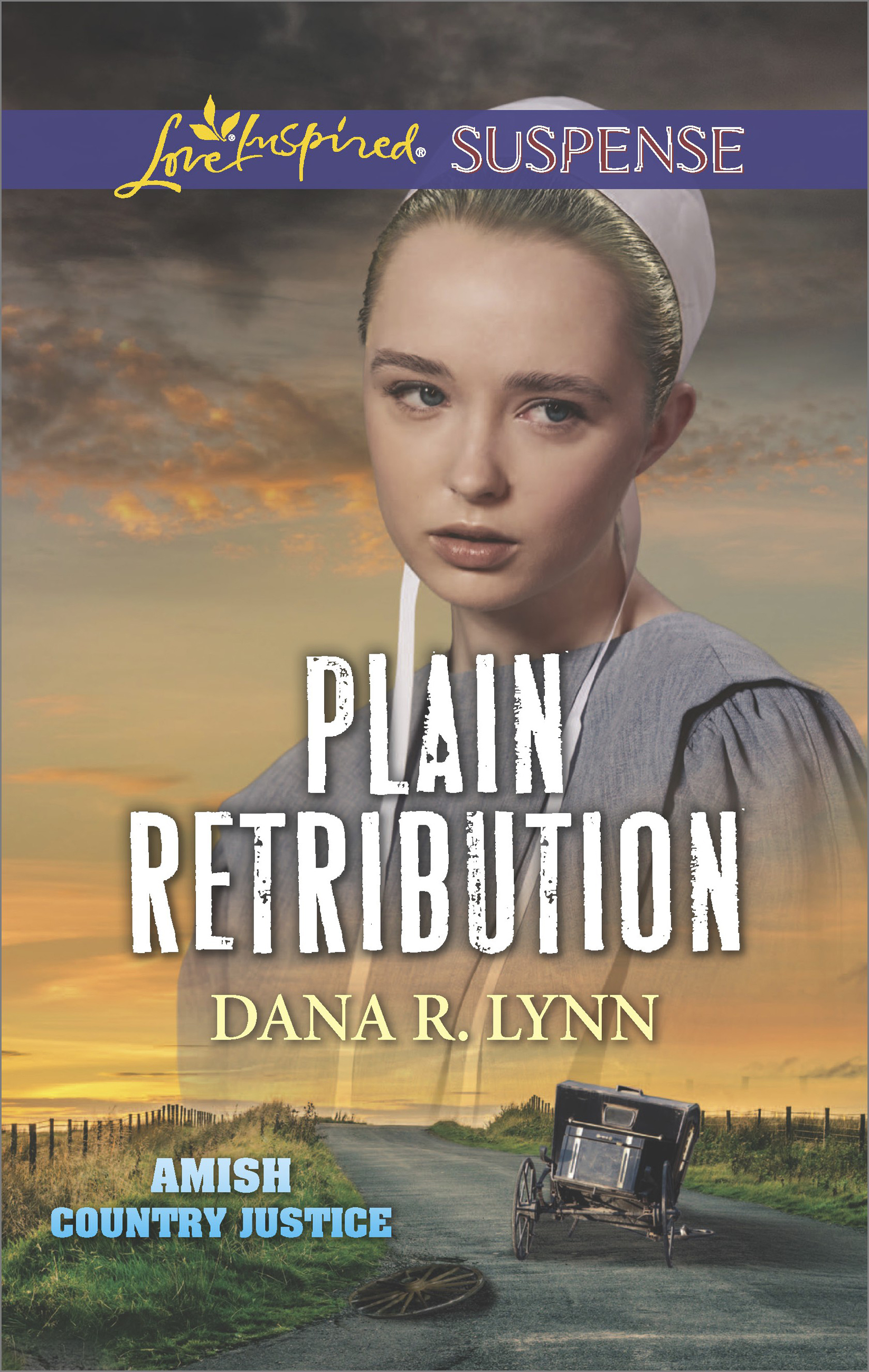 Обложка книги «Plain Retribution»