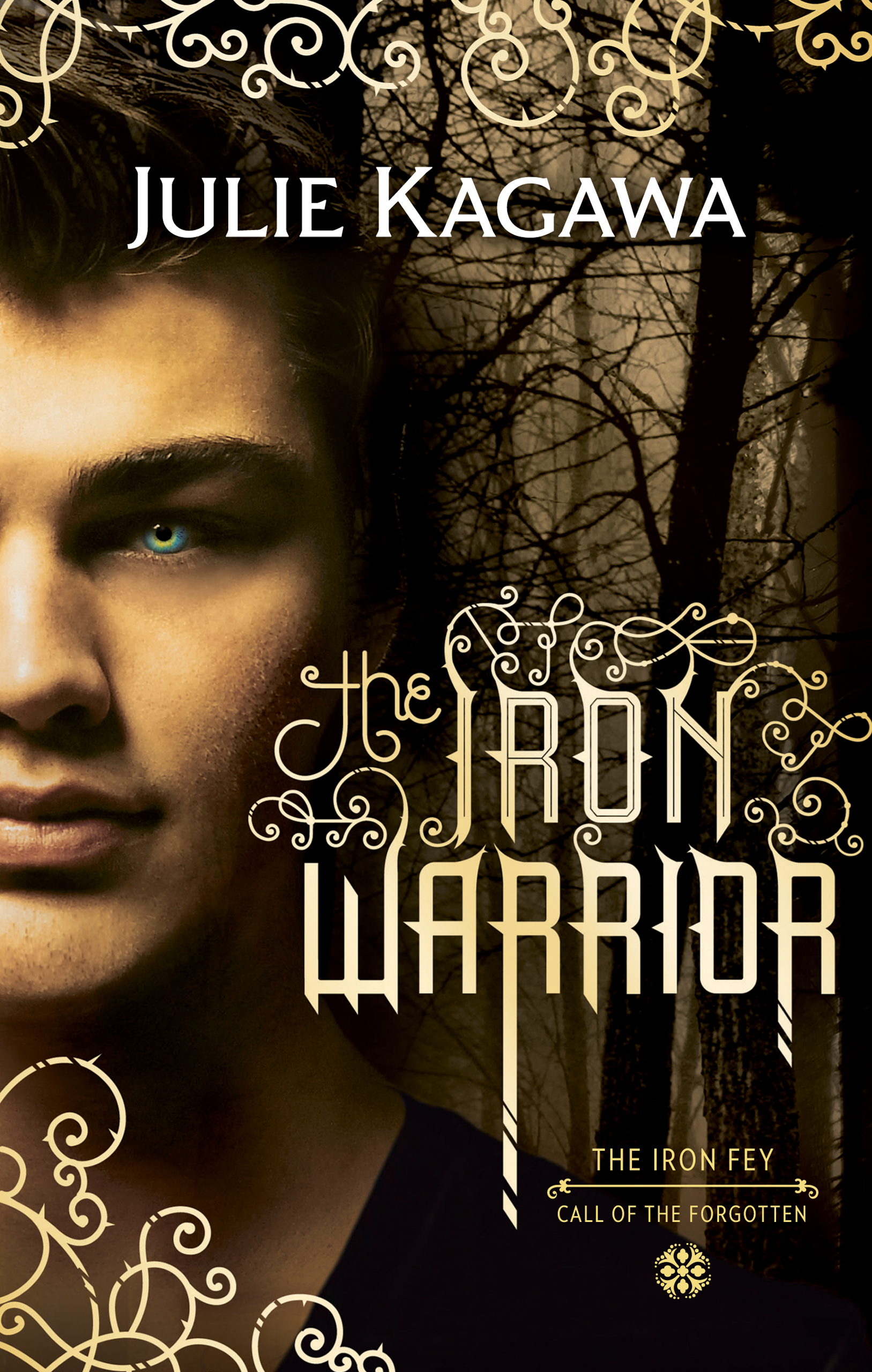 Обложка книги «The Iron Warrior»