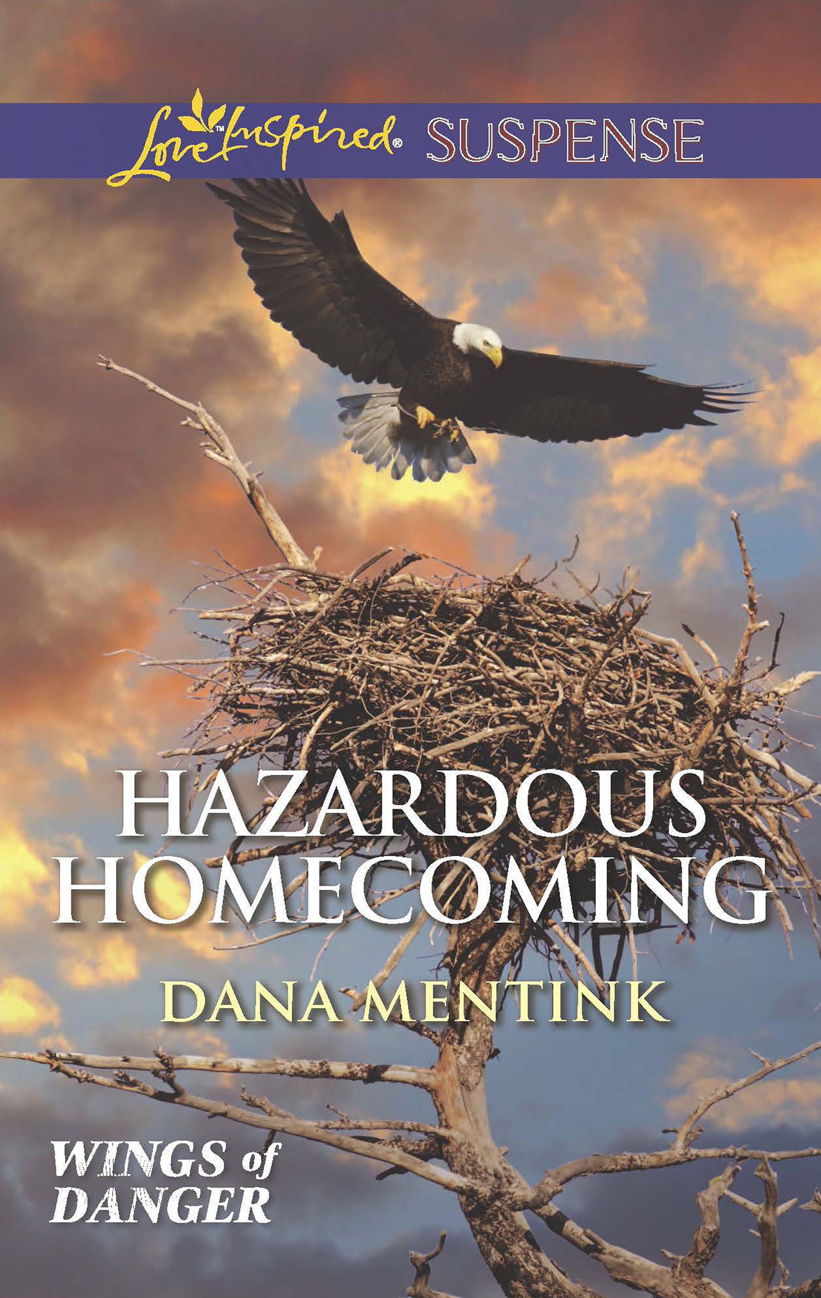Обложка книги «Hazardous Homecoming»