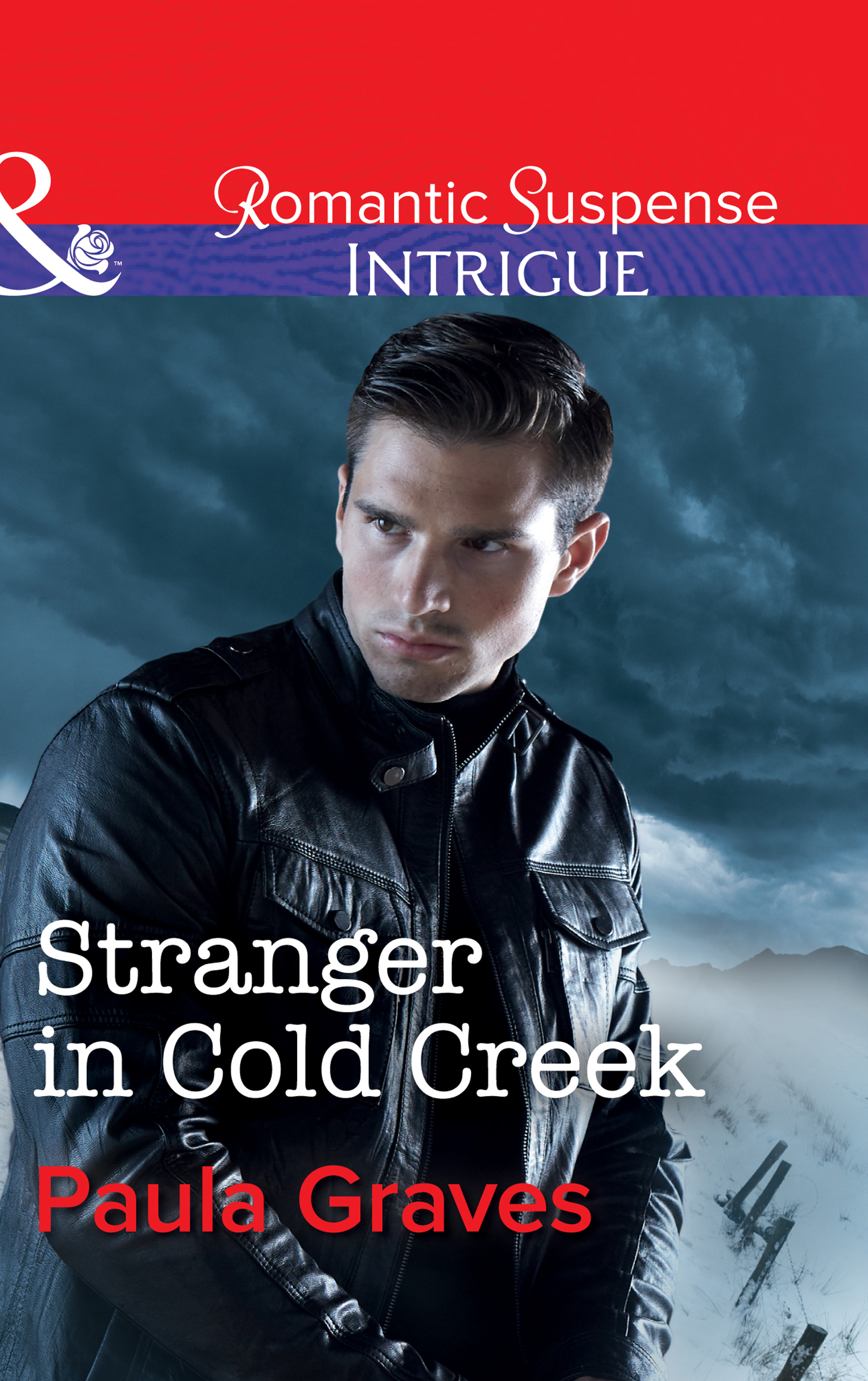 Обложка книги «Stranger In Cold Creek»