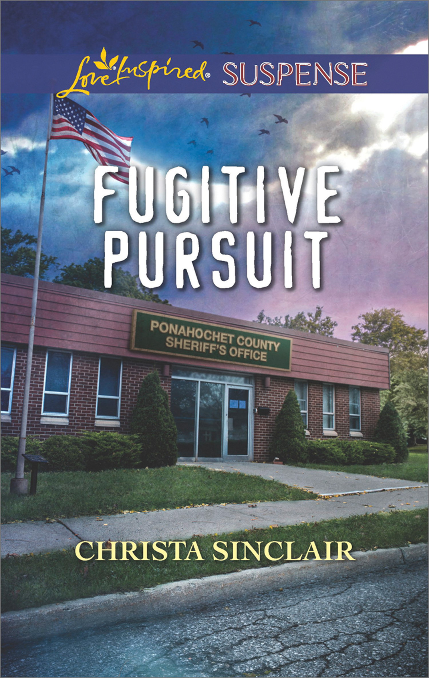 Обложка книги «Fugitive Pursuit»