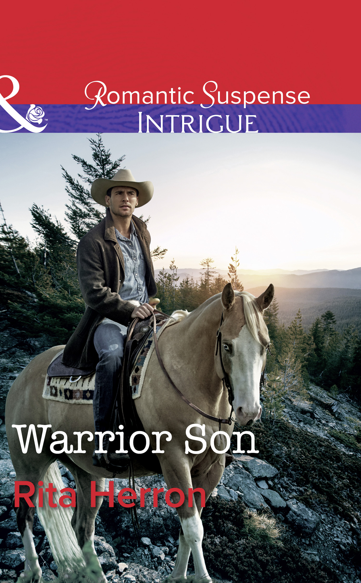 Обложка книги «Warrior Son»
