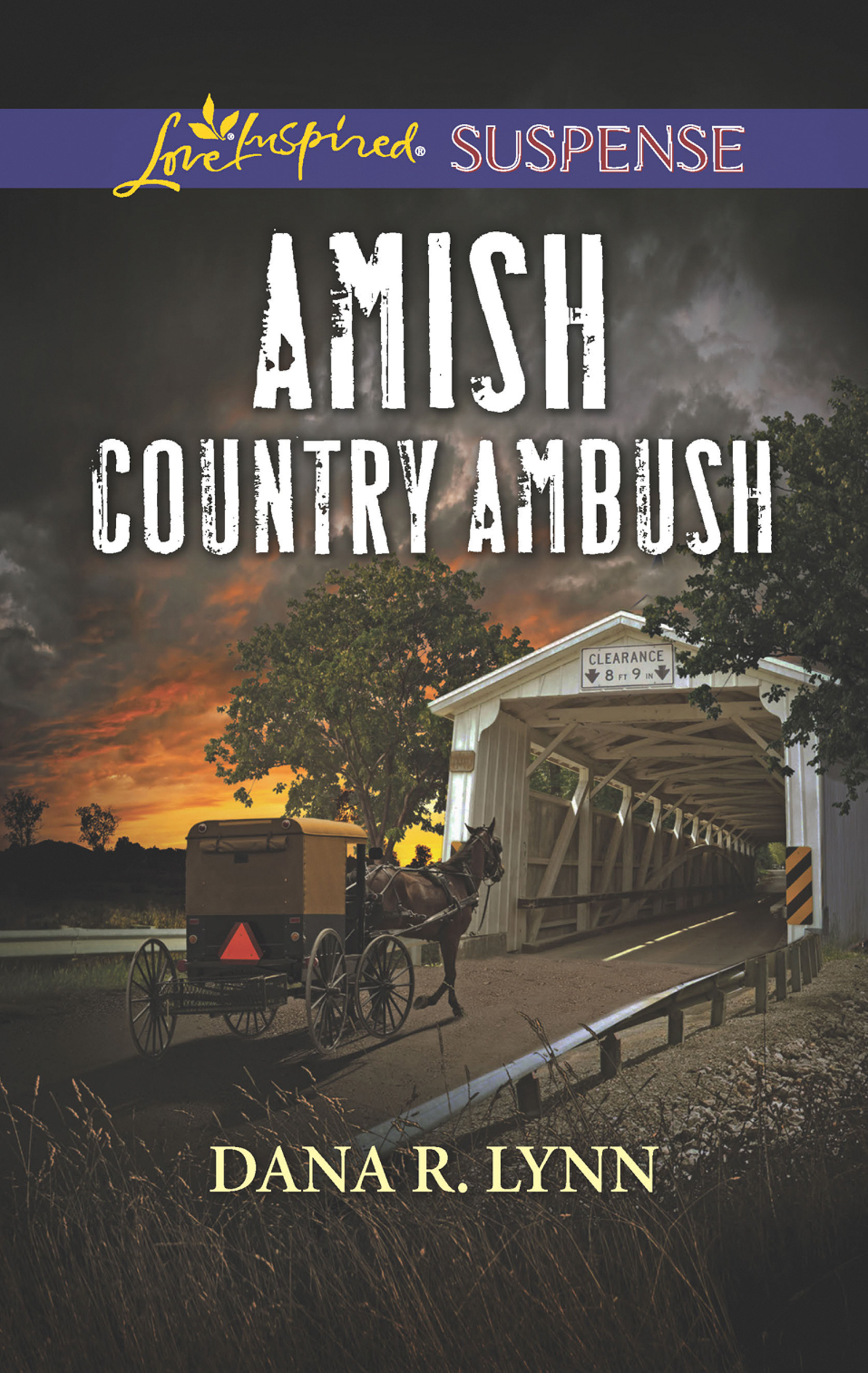 Обложка книги «Amish Country Ambush»