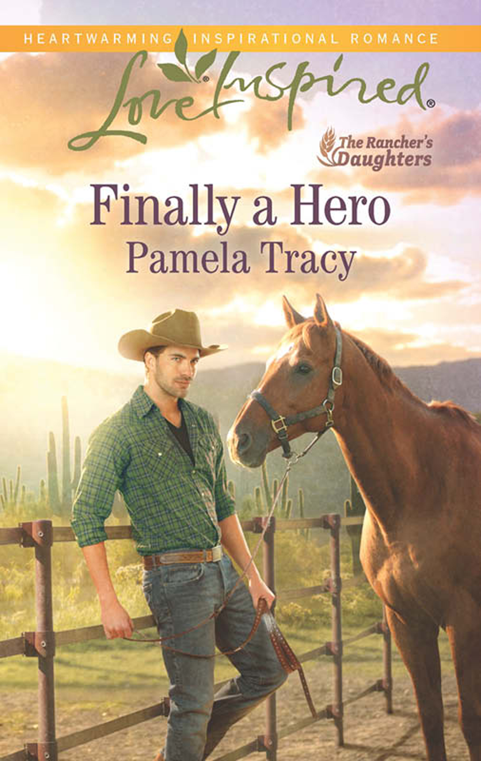 Обложка книги «Finally a Hero»