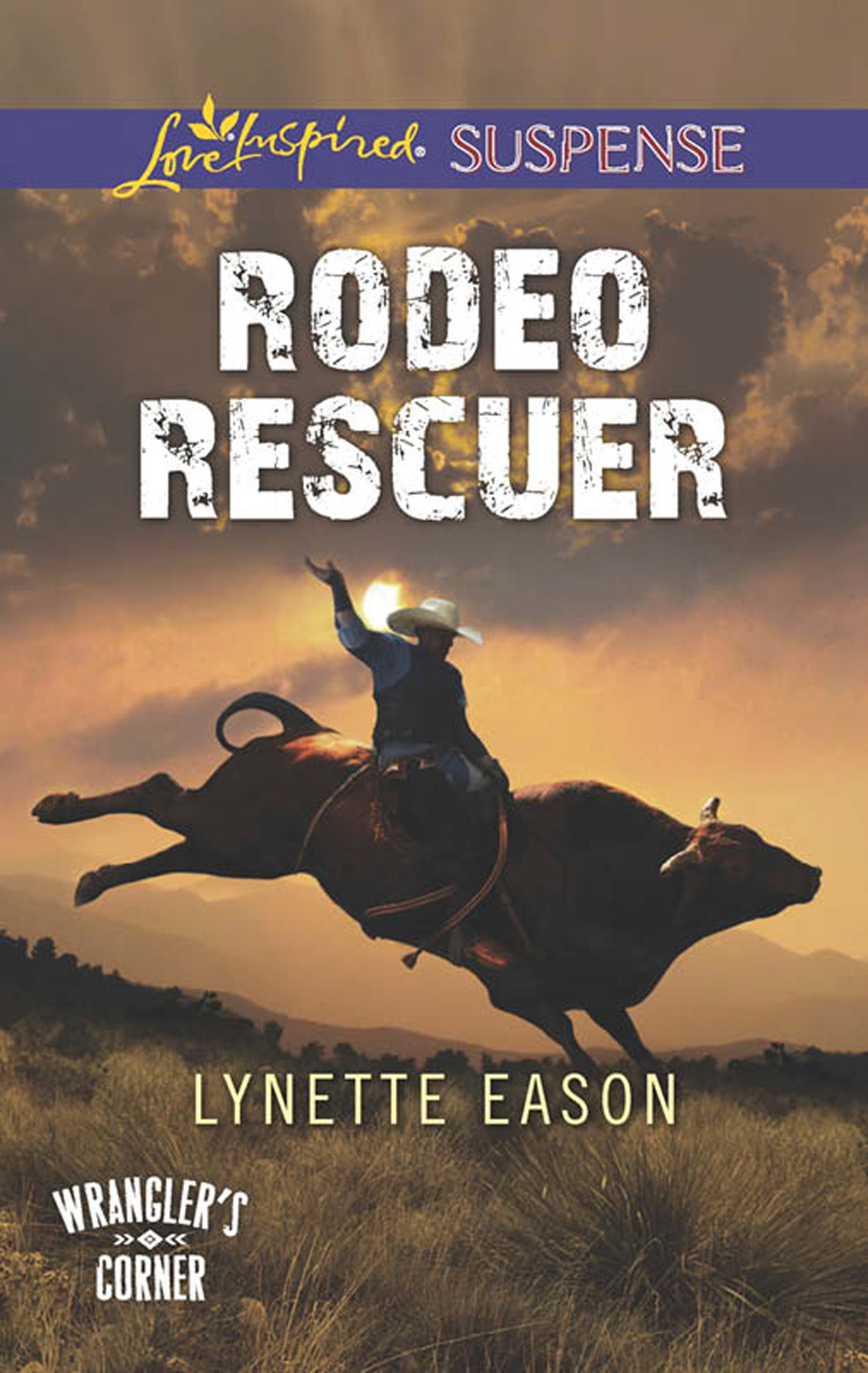 Обложка книги «Rodeo Rescuer»