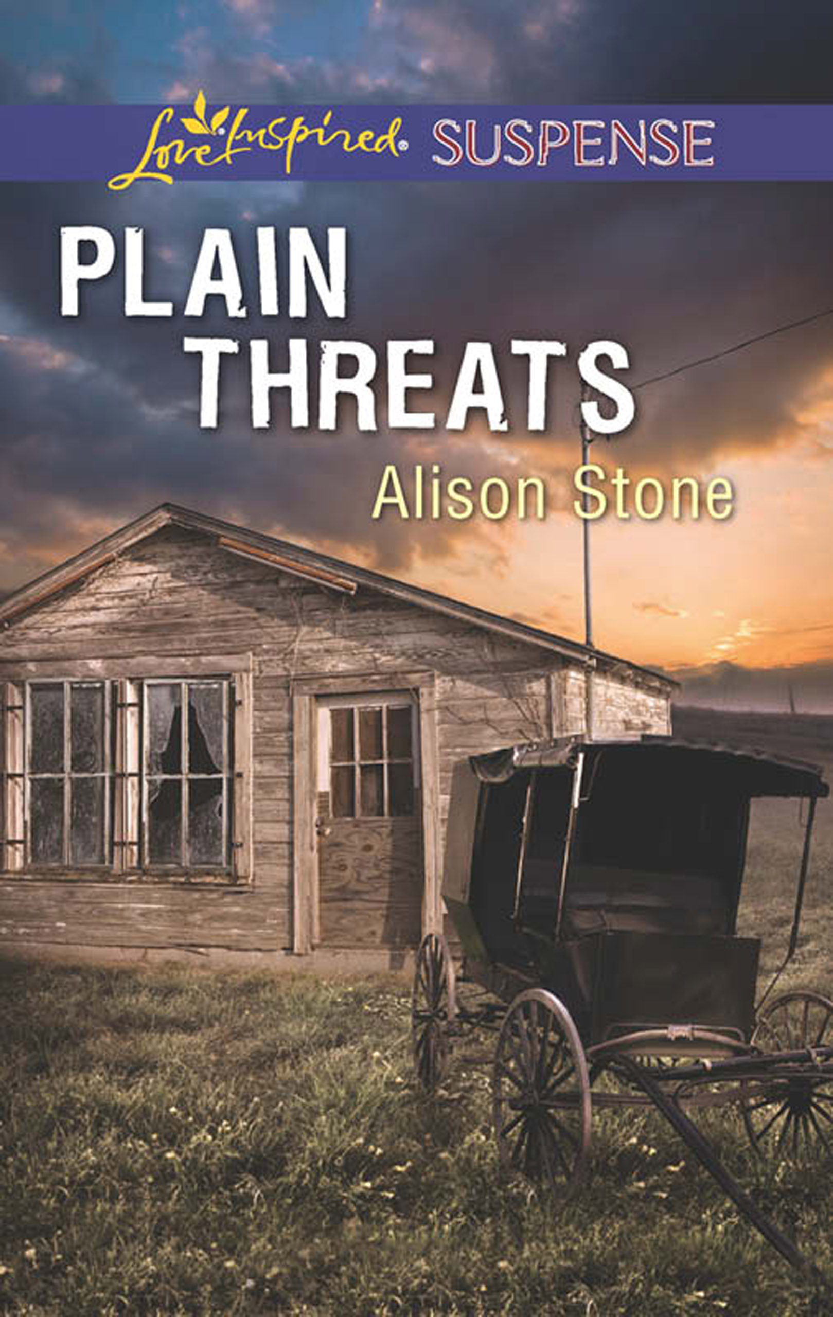 Обложка книги «Plain Threats»