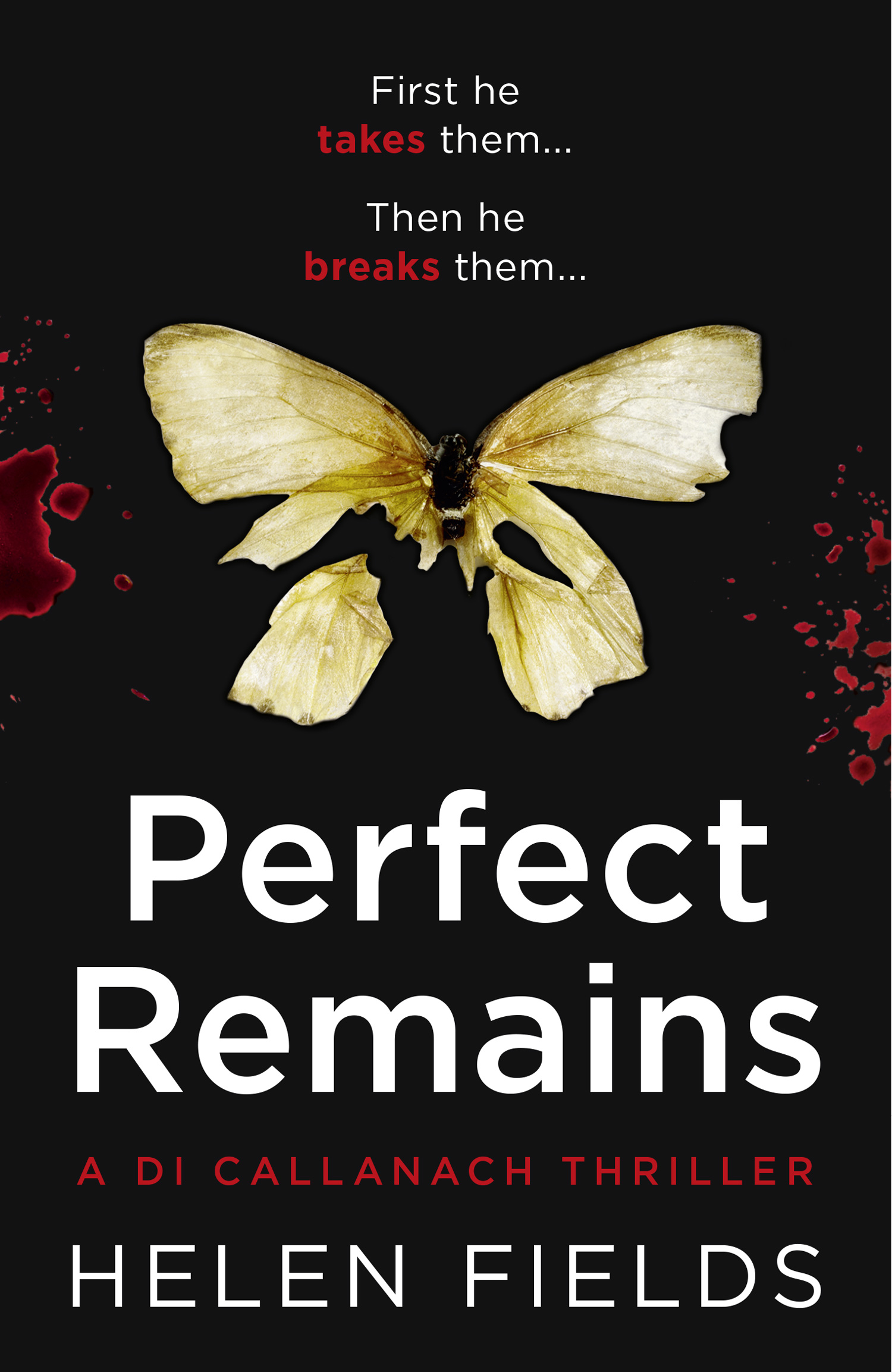 Обложка книги «Perfect Remains»