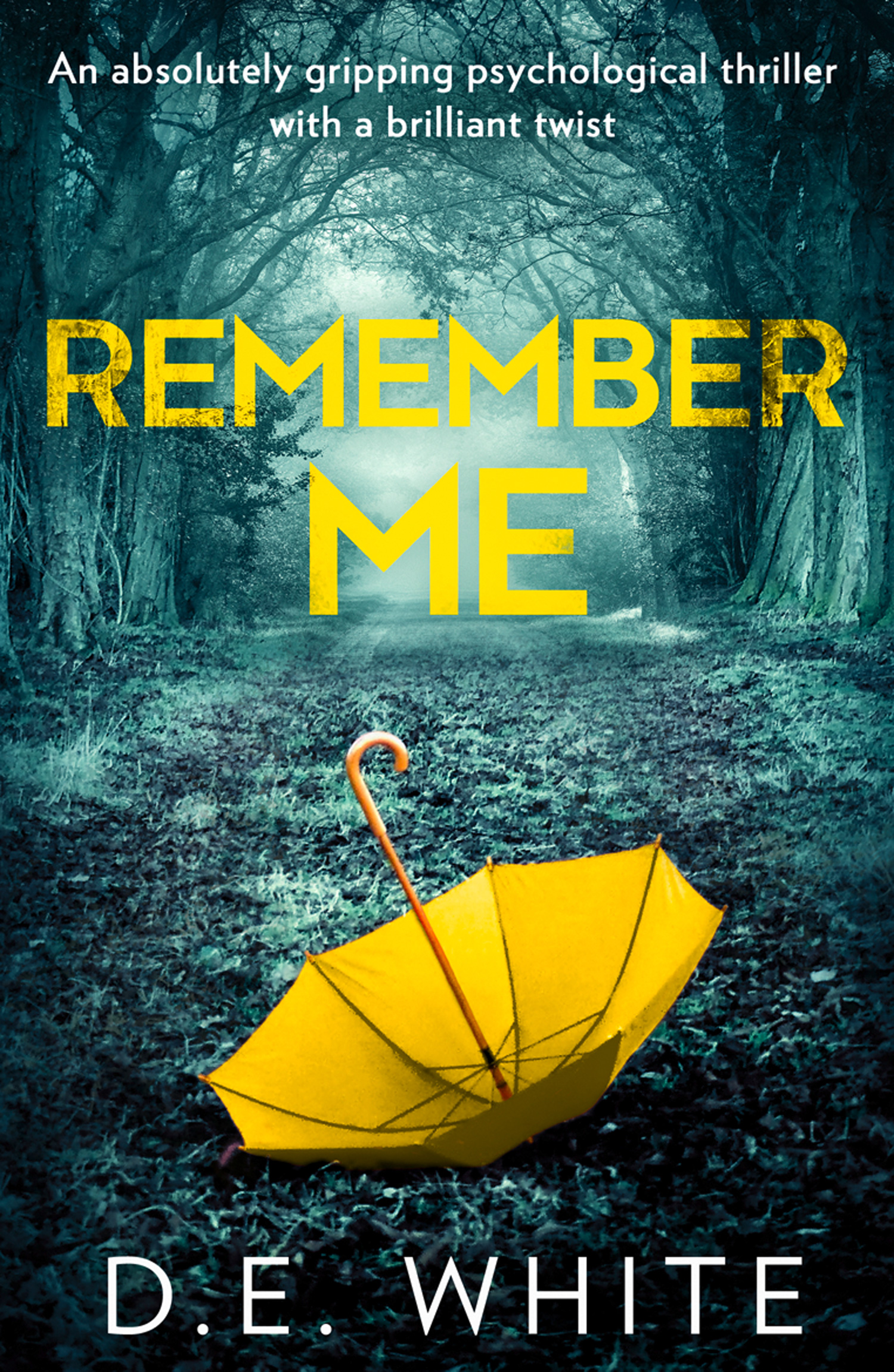 Обложка книги «Remember Me»
