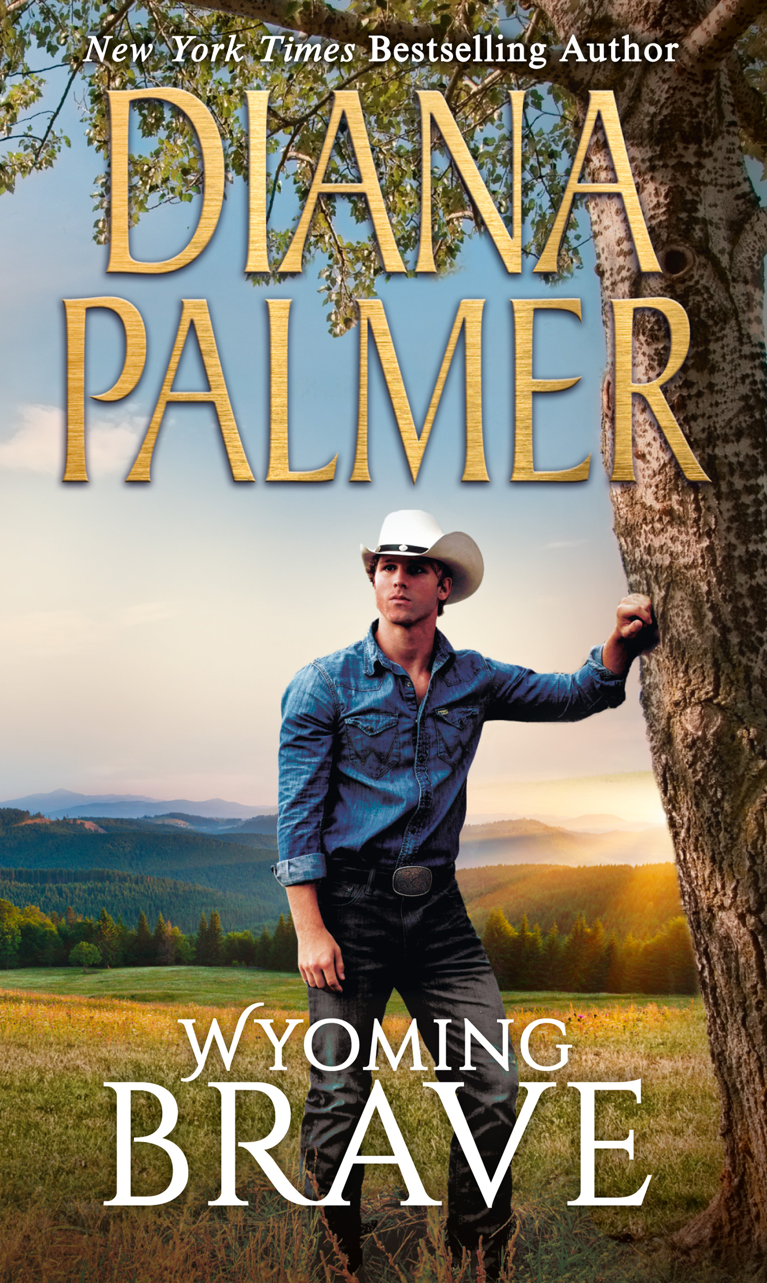 Обложка книги «Wyoming Brave»