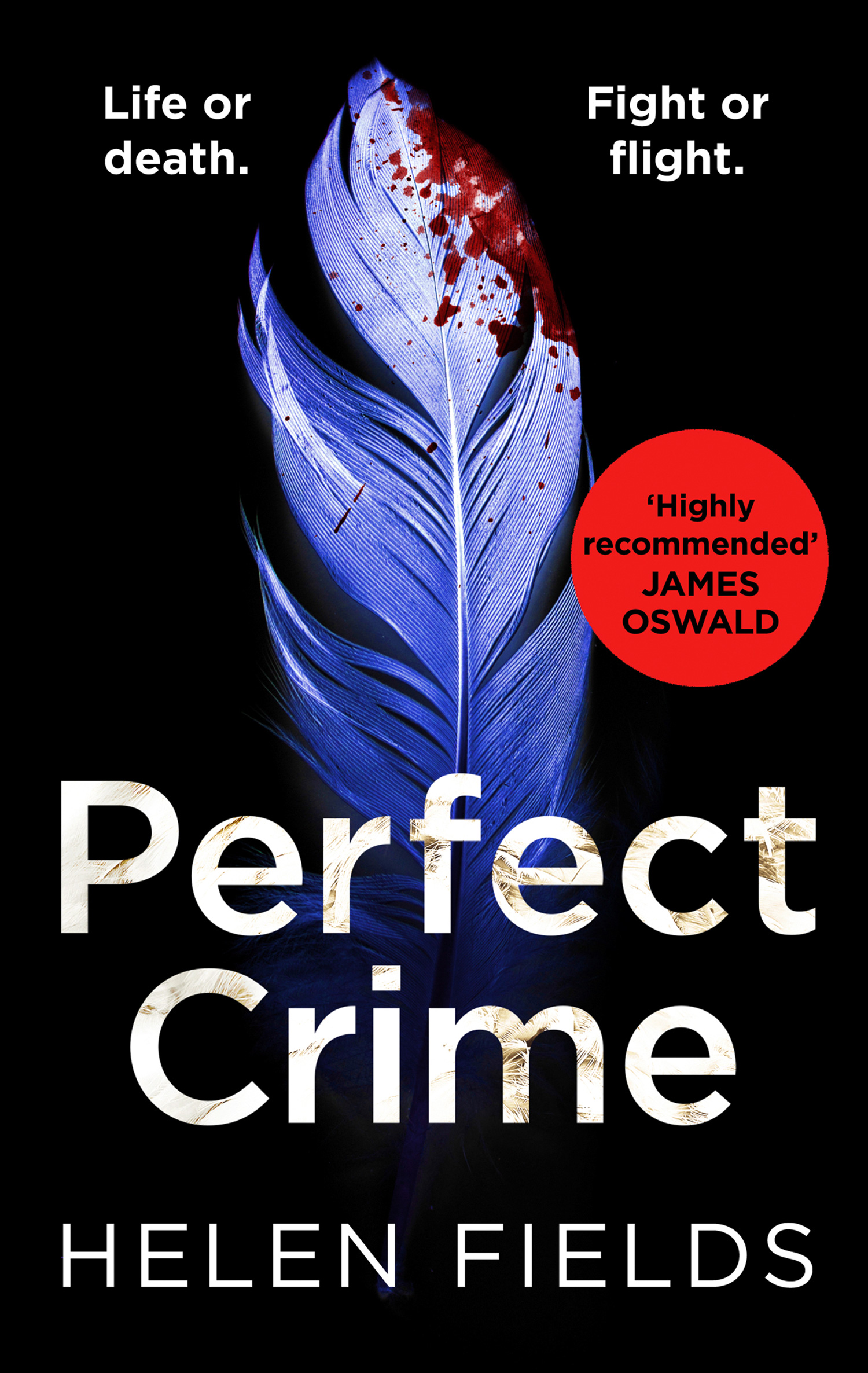 Обложка книги «Perfect Crime»