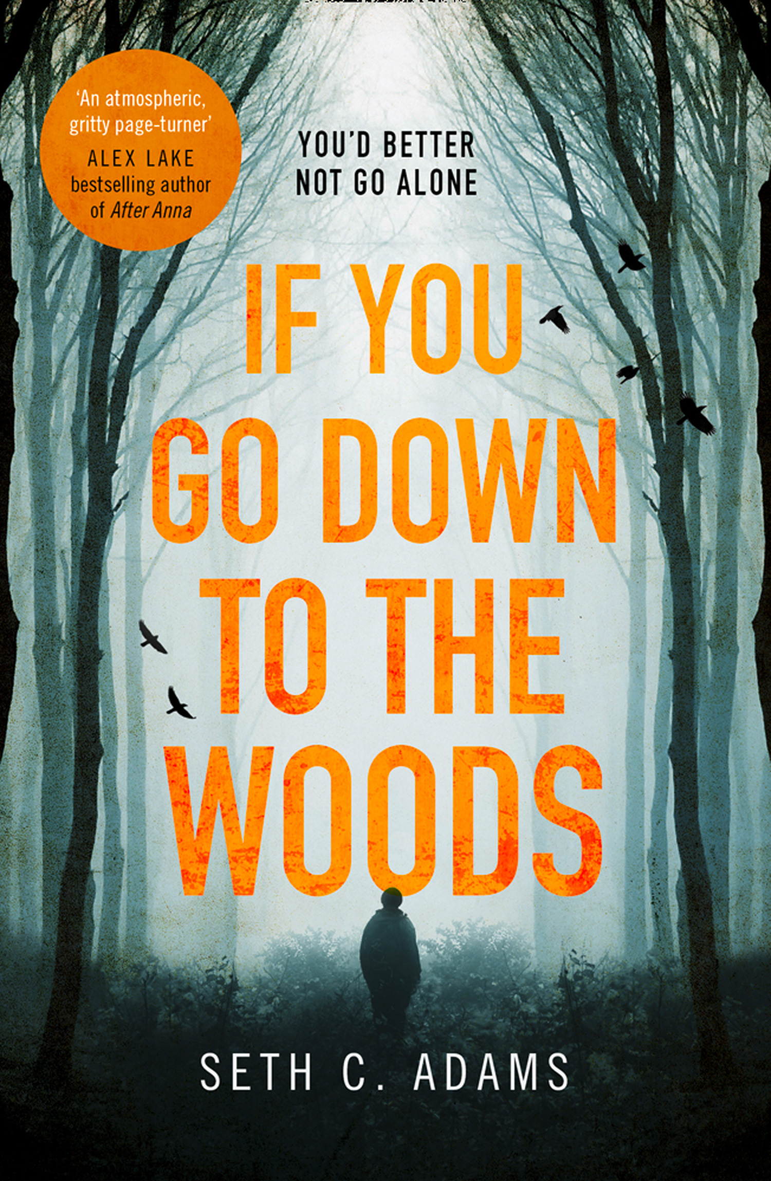 Обложка книги «If You Go Down to the Woods»