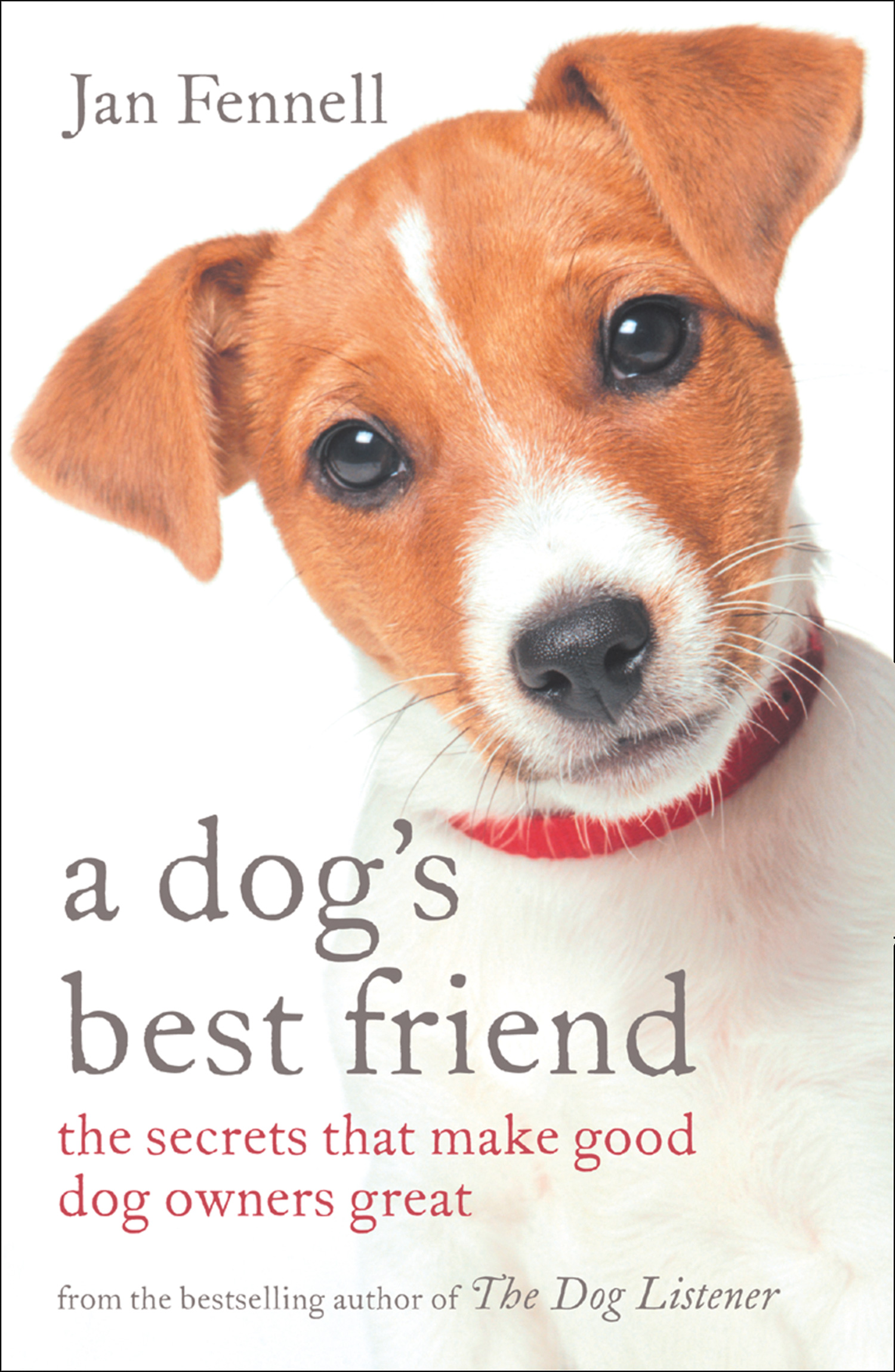 Обложка книги «A Dog’s Best Friend»