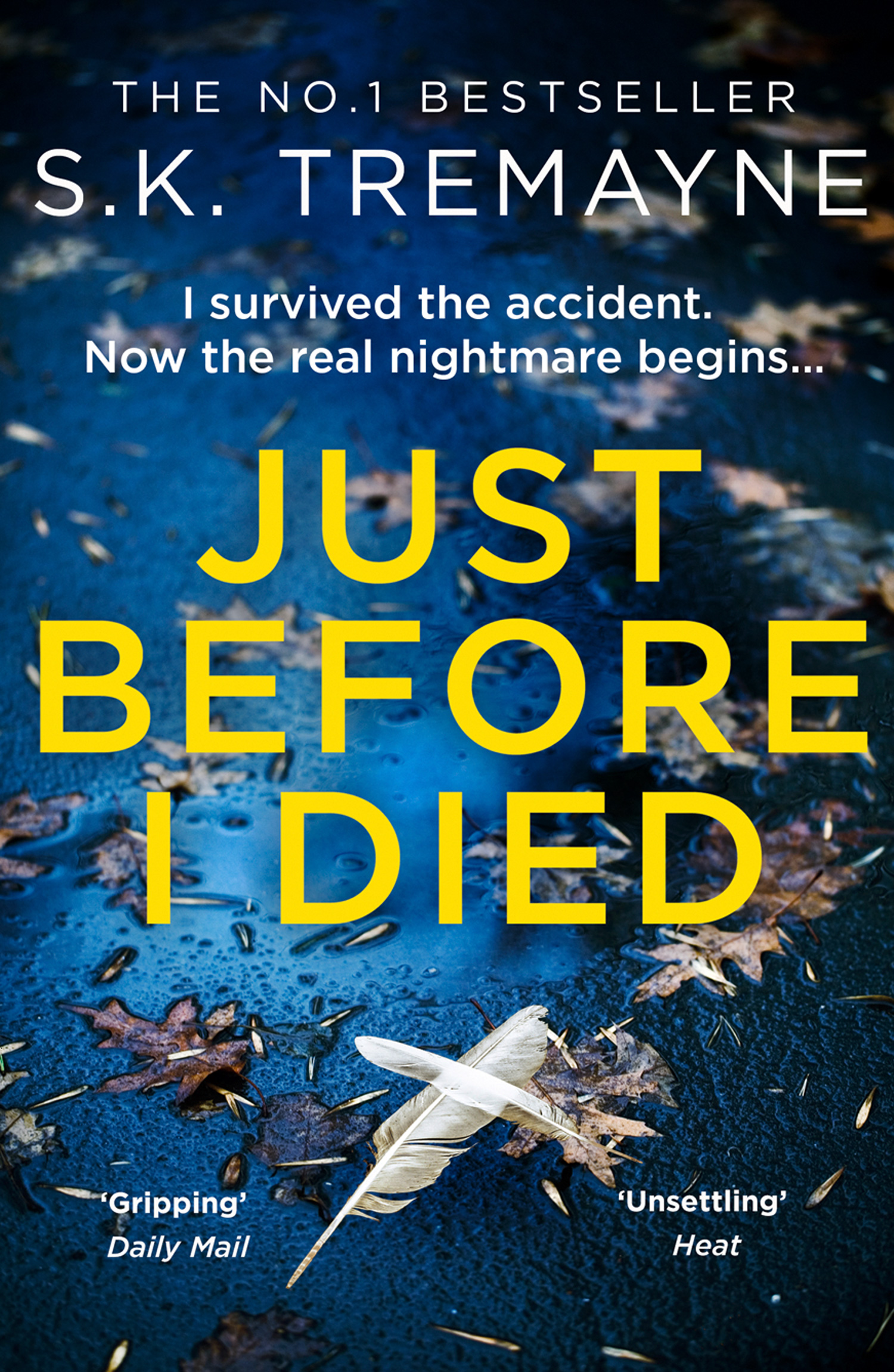 Обложка книги «Just Before I Died»