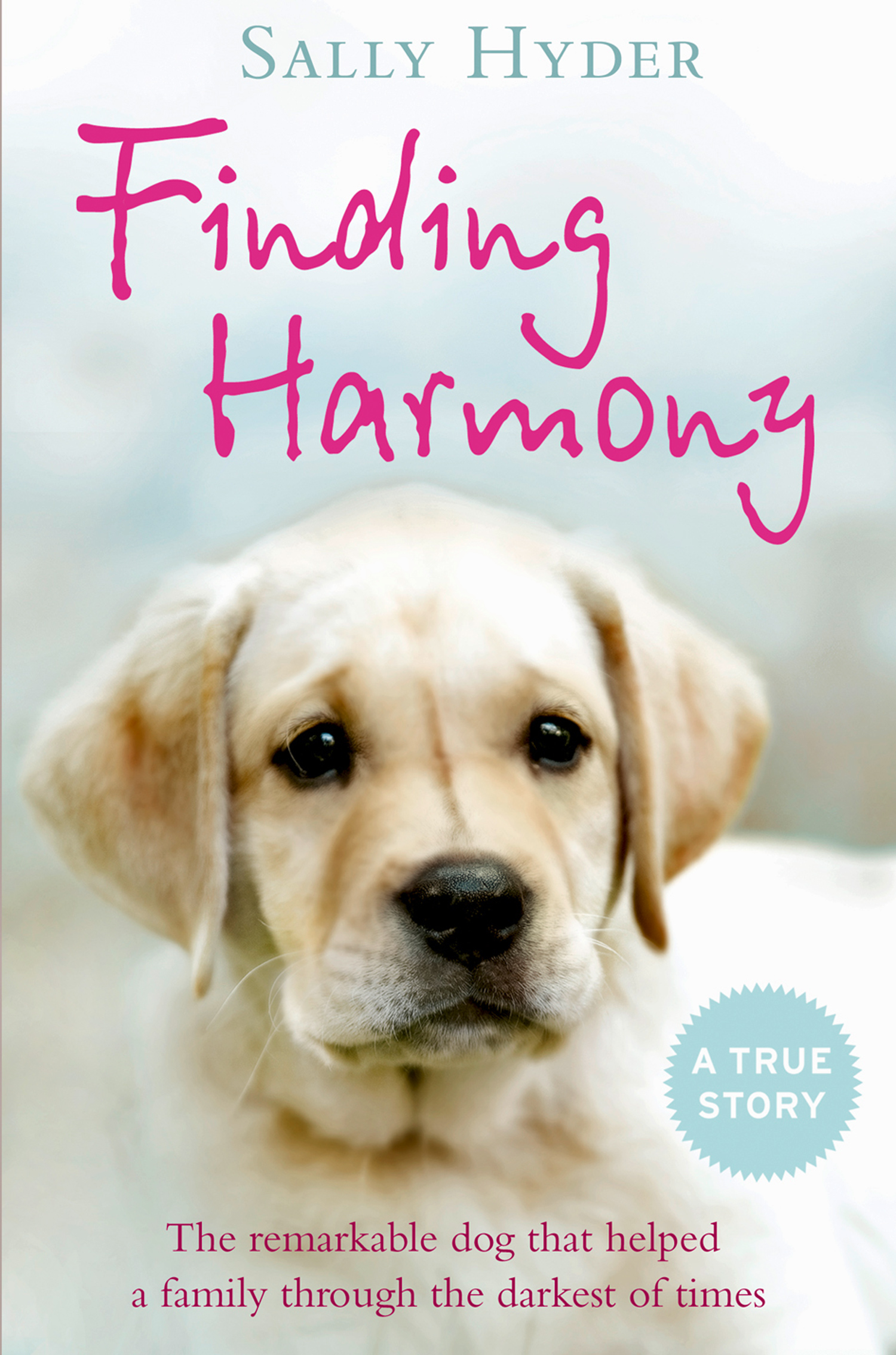 Обложка книги «Finding Harmony»