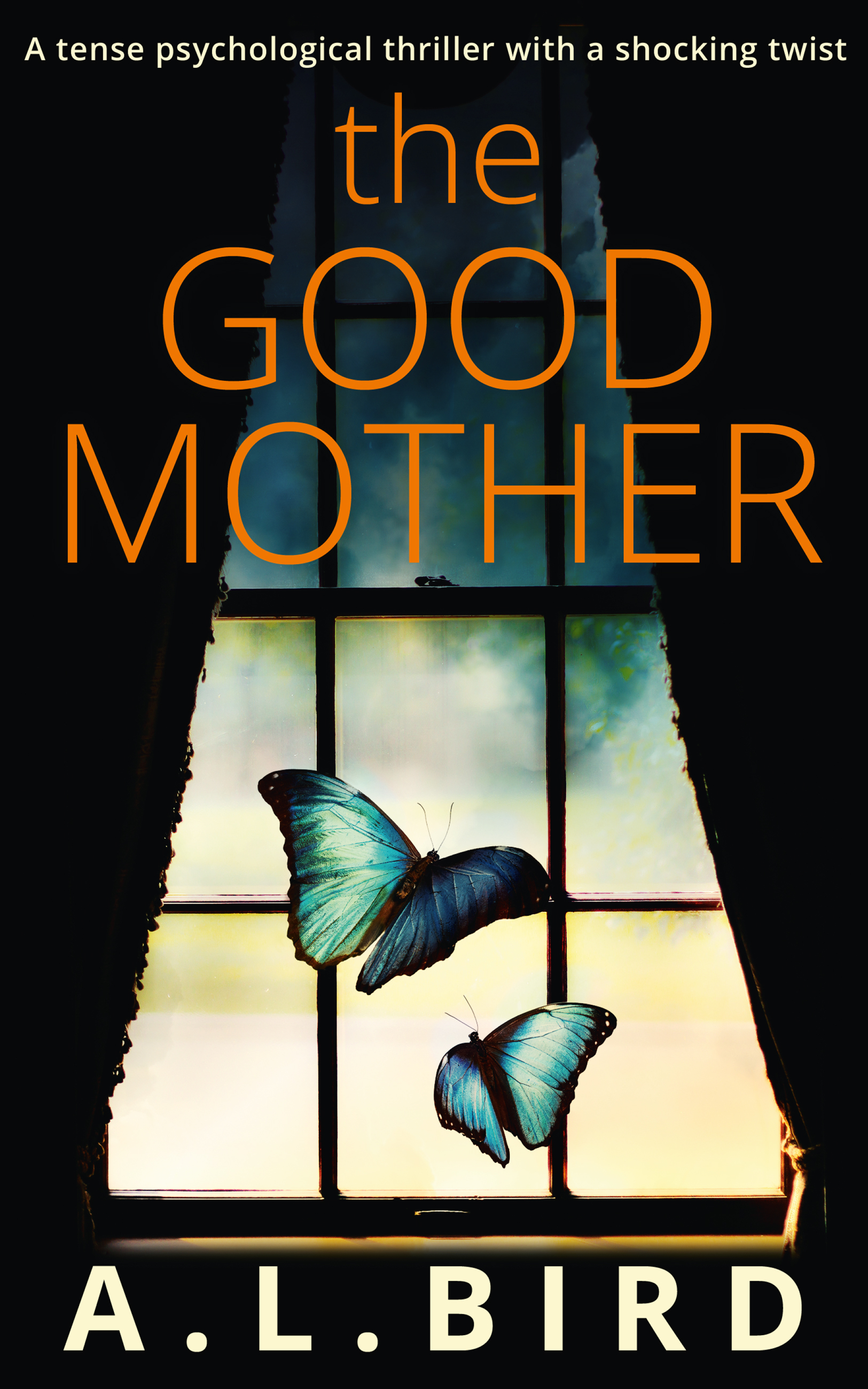 Обложка книги «The Good Mother»