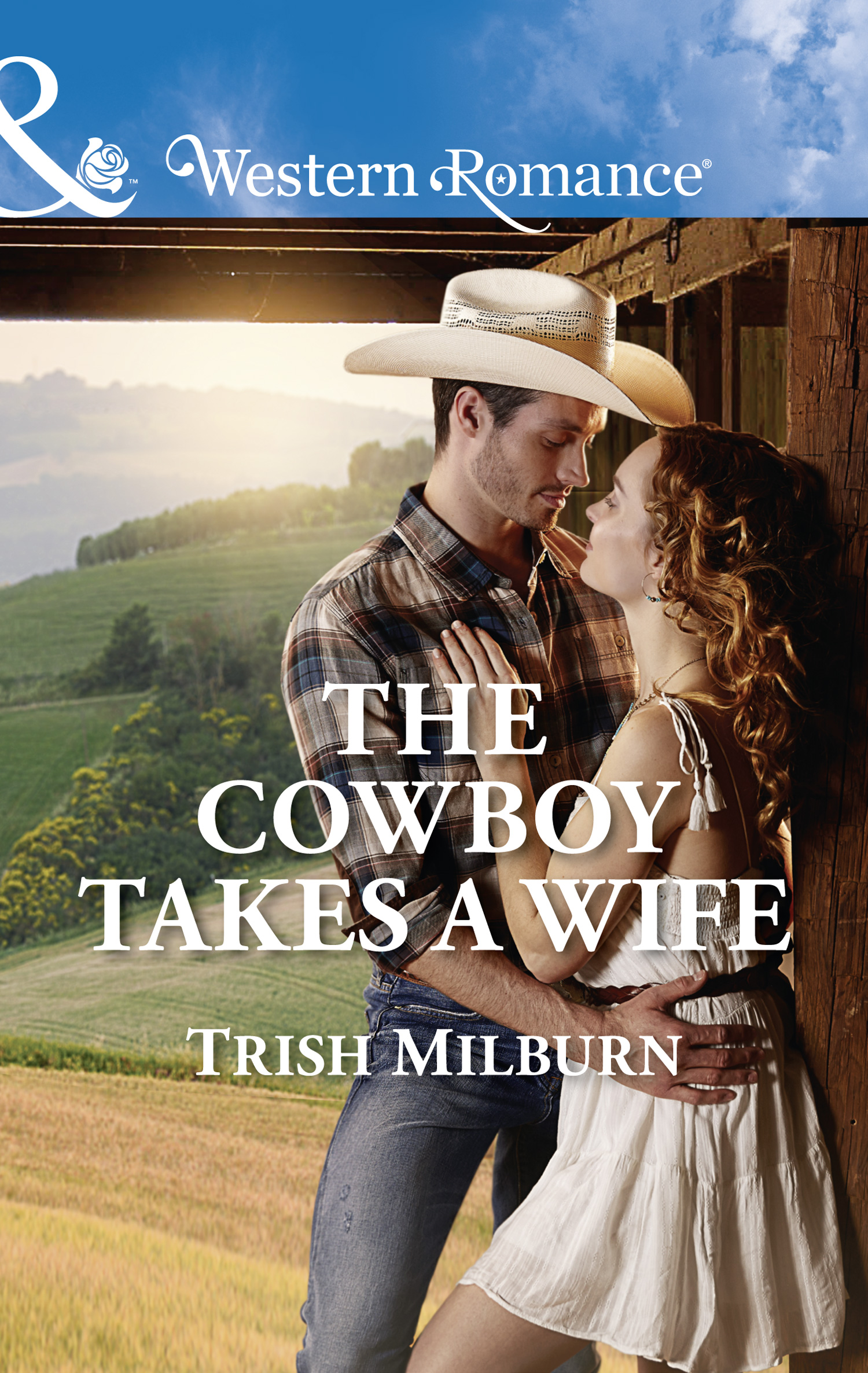 Обложка книги «The Cowboy Takes A Wife»