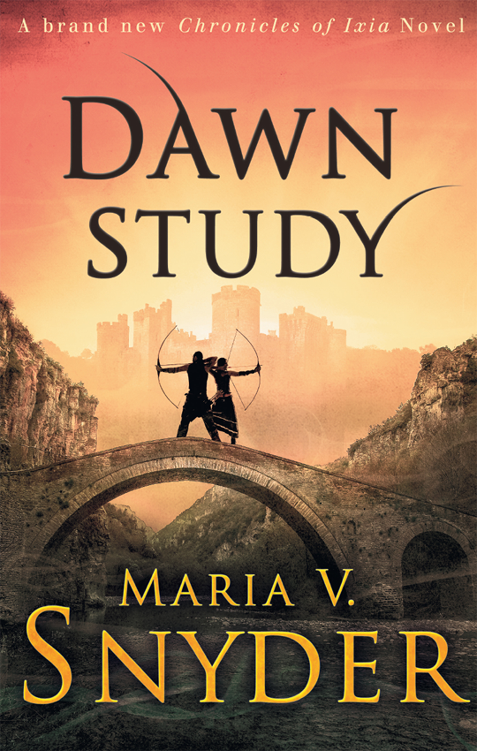Обложка книги «Dawn Study»