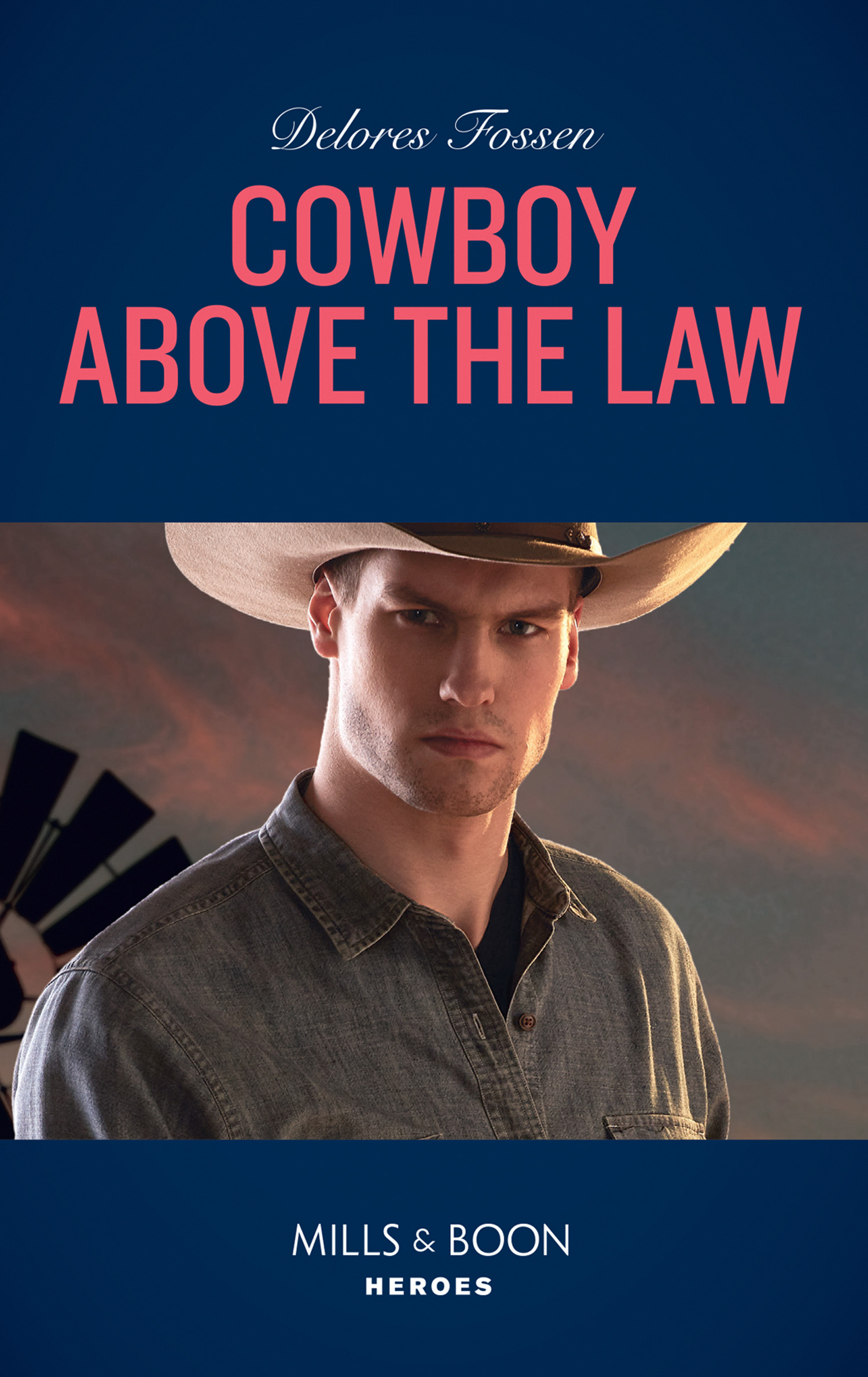Обложка книги «Cowboy Above The Law»