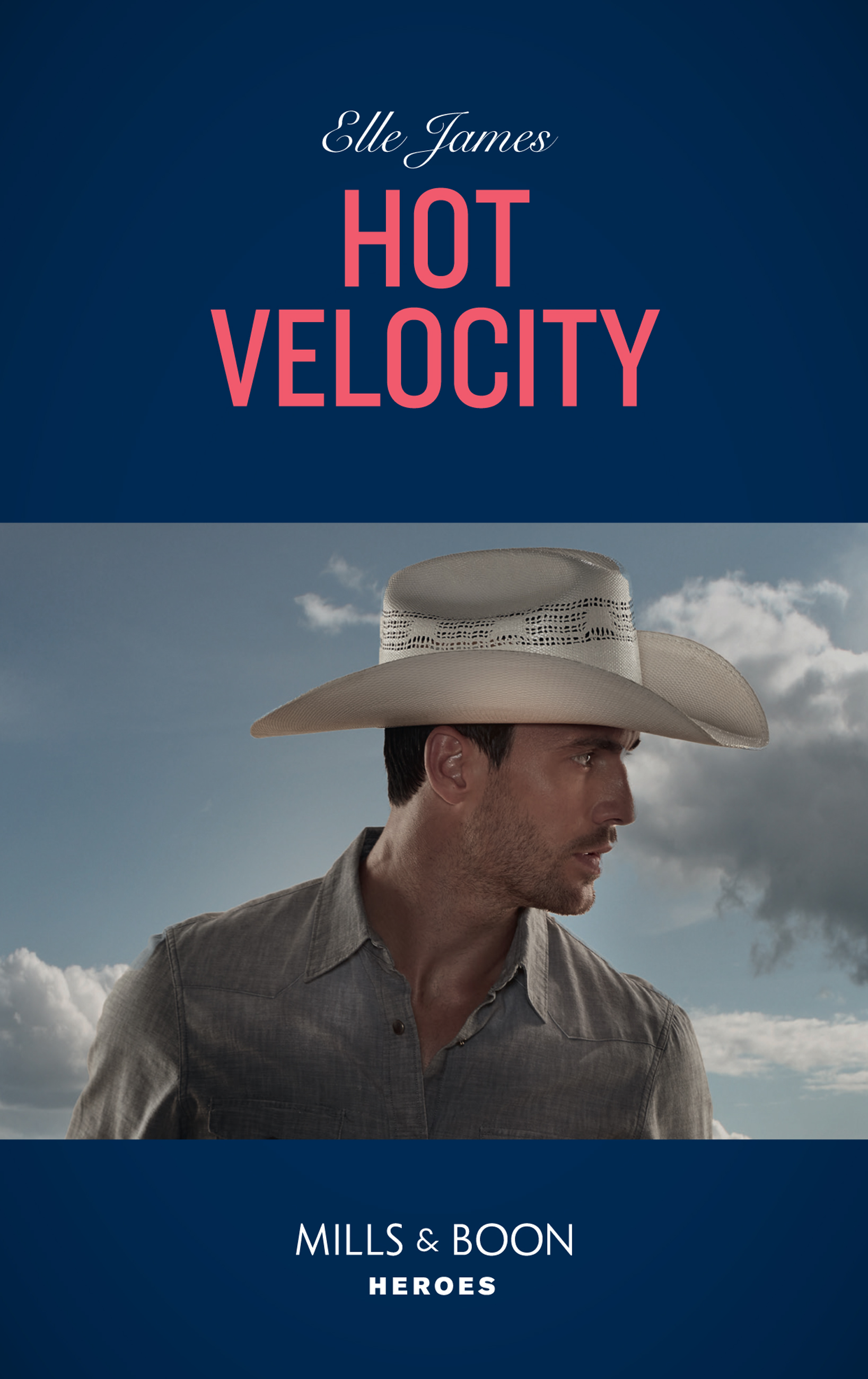 Обложка книги «Hot Velocity»