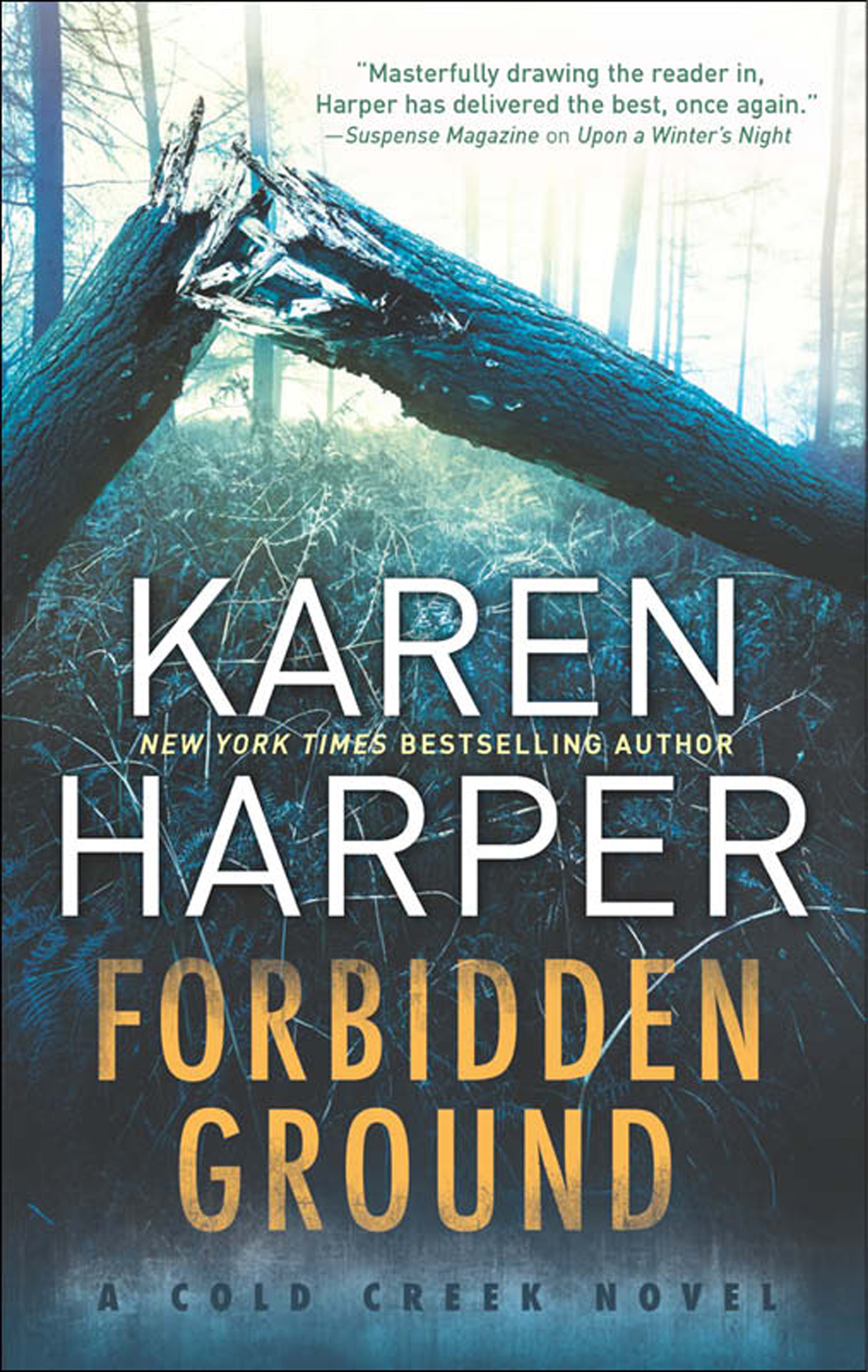 Обложка книги «Forbidden Ground»