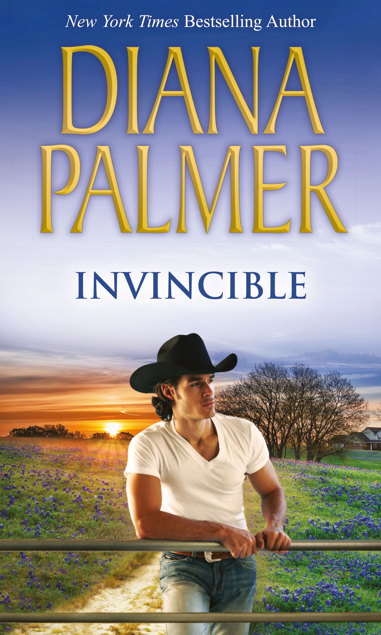 Обложка книги «Invincible»