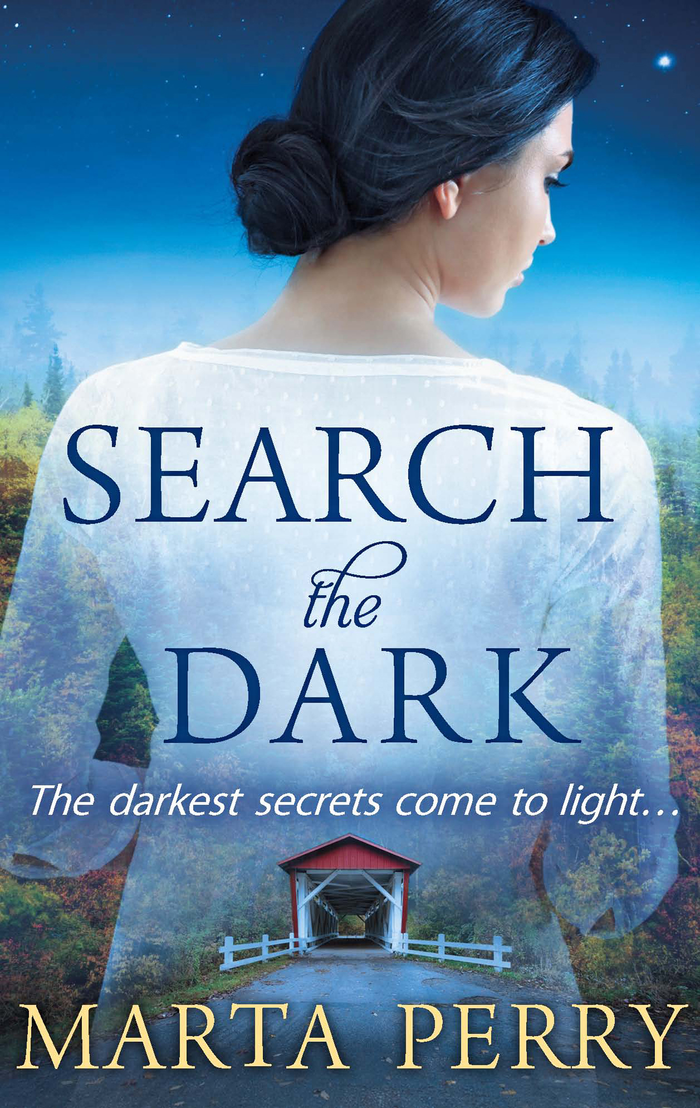 Обложка книги «Search the Dark»