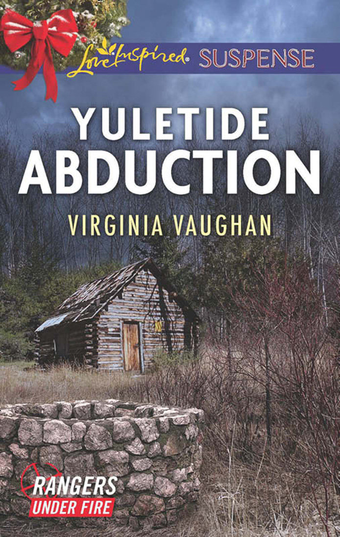Обложка книги «Yuletide Abduction»