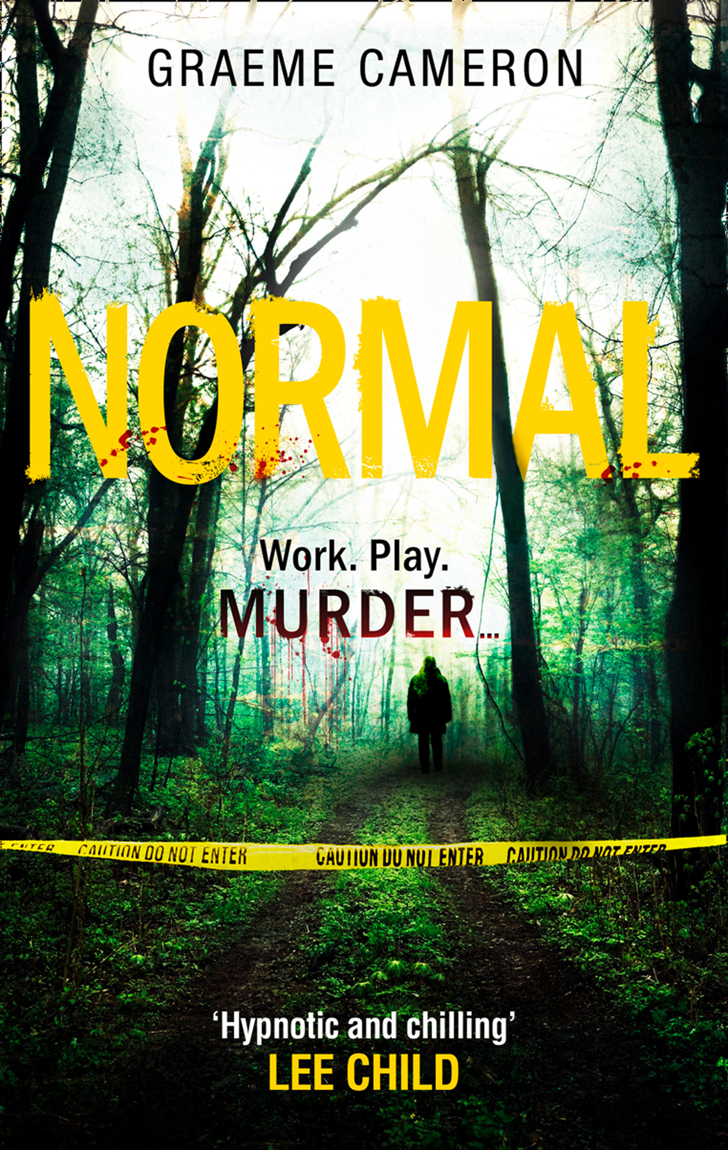 Обложка книги «Normal: The Most Original Thriller Of The Year»