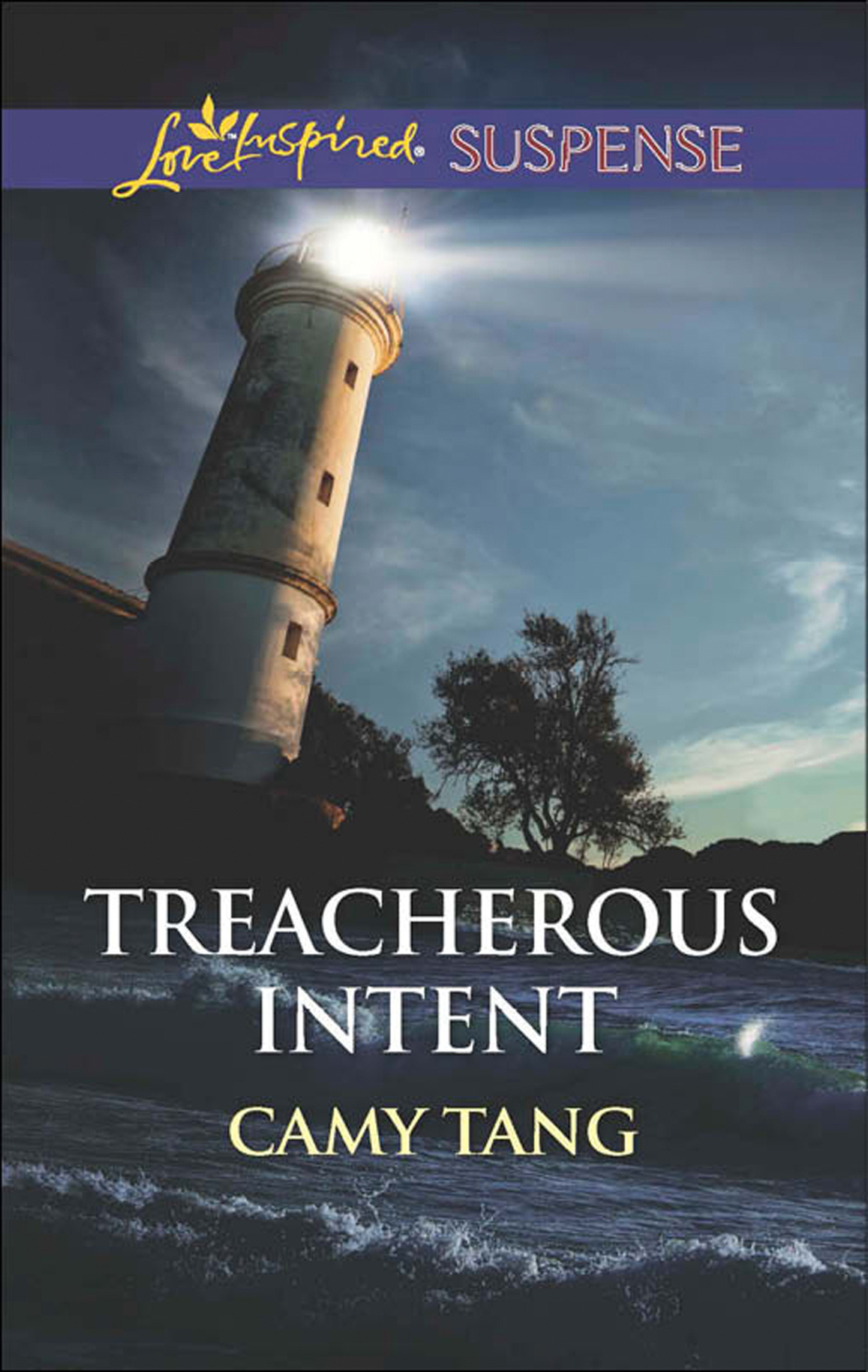 Обложка книги «Treacherous Intent»