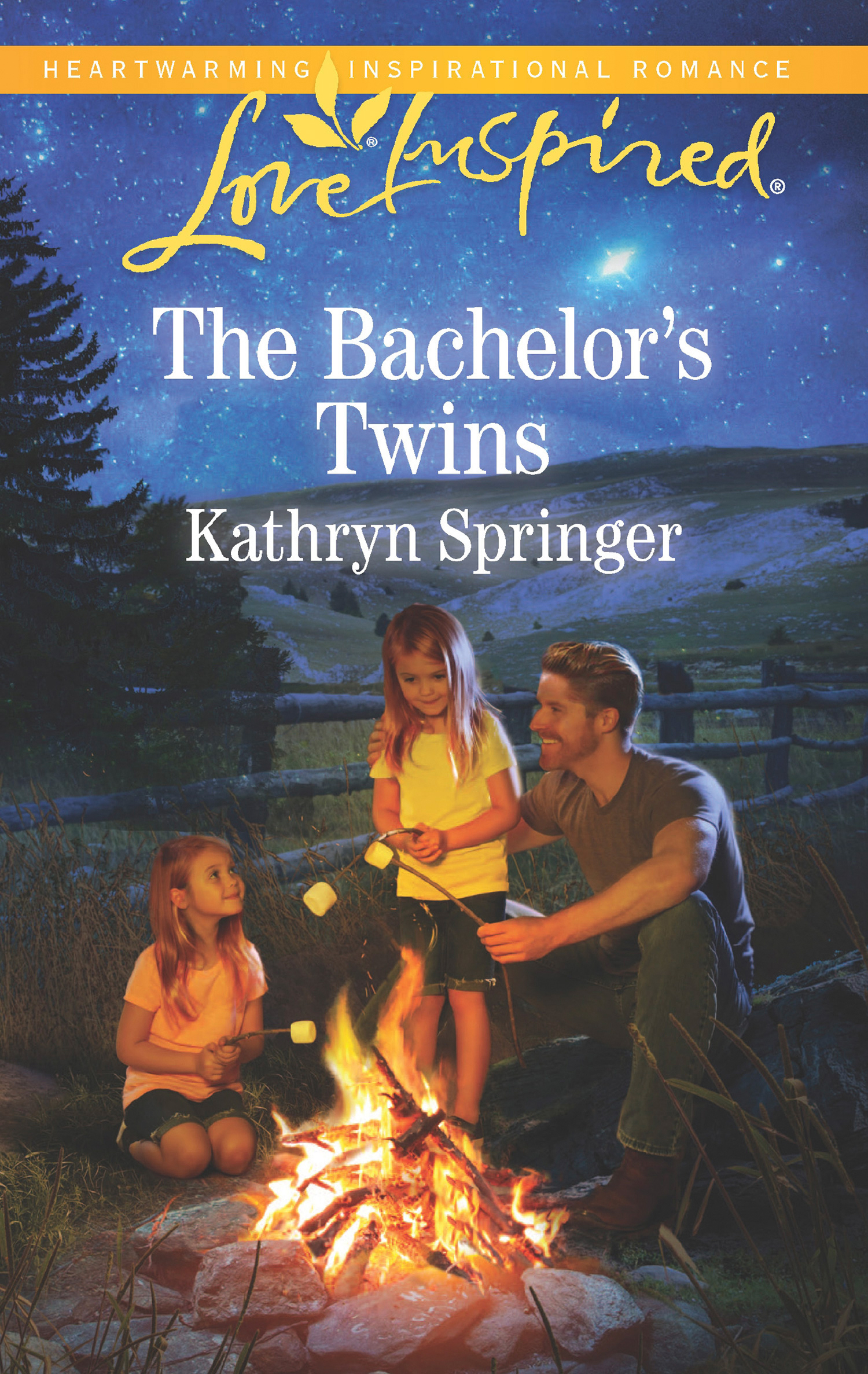 Обложка книги «The Bachelor's Twins»