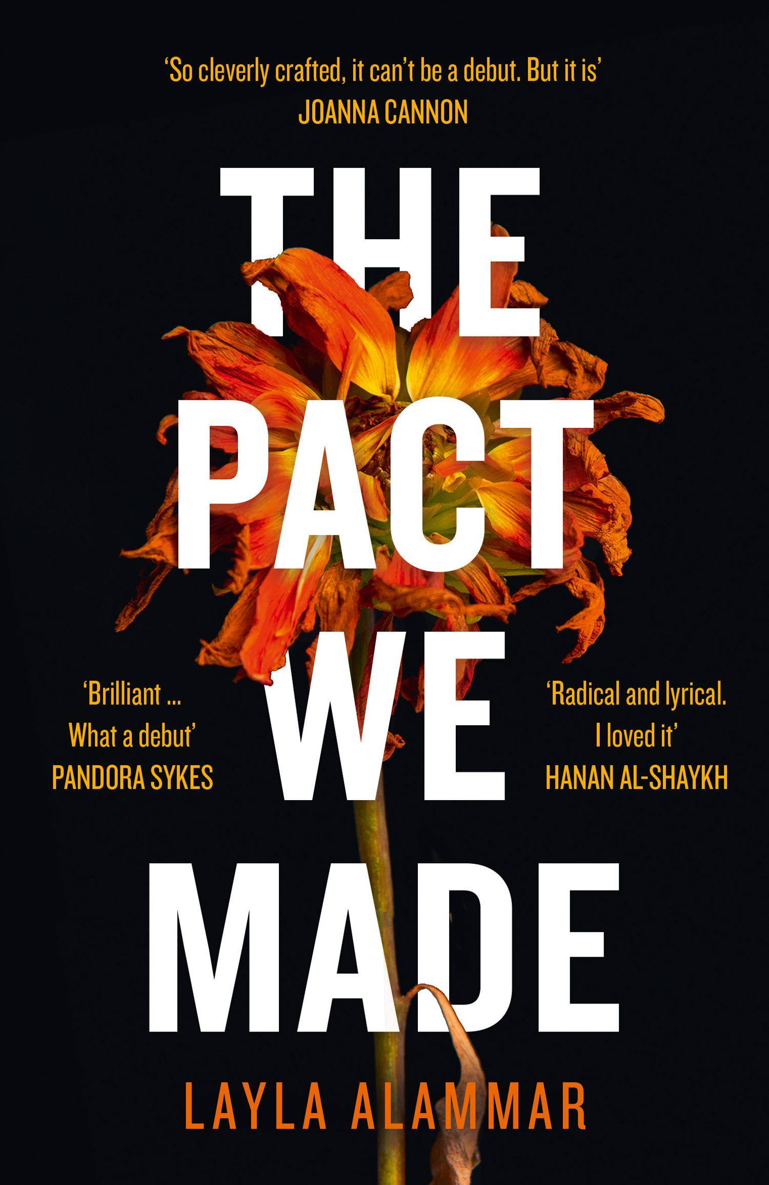 Обложка книги «The Pact We Made»